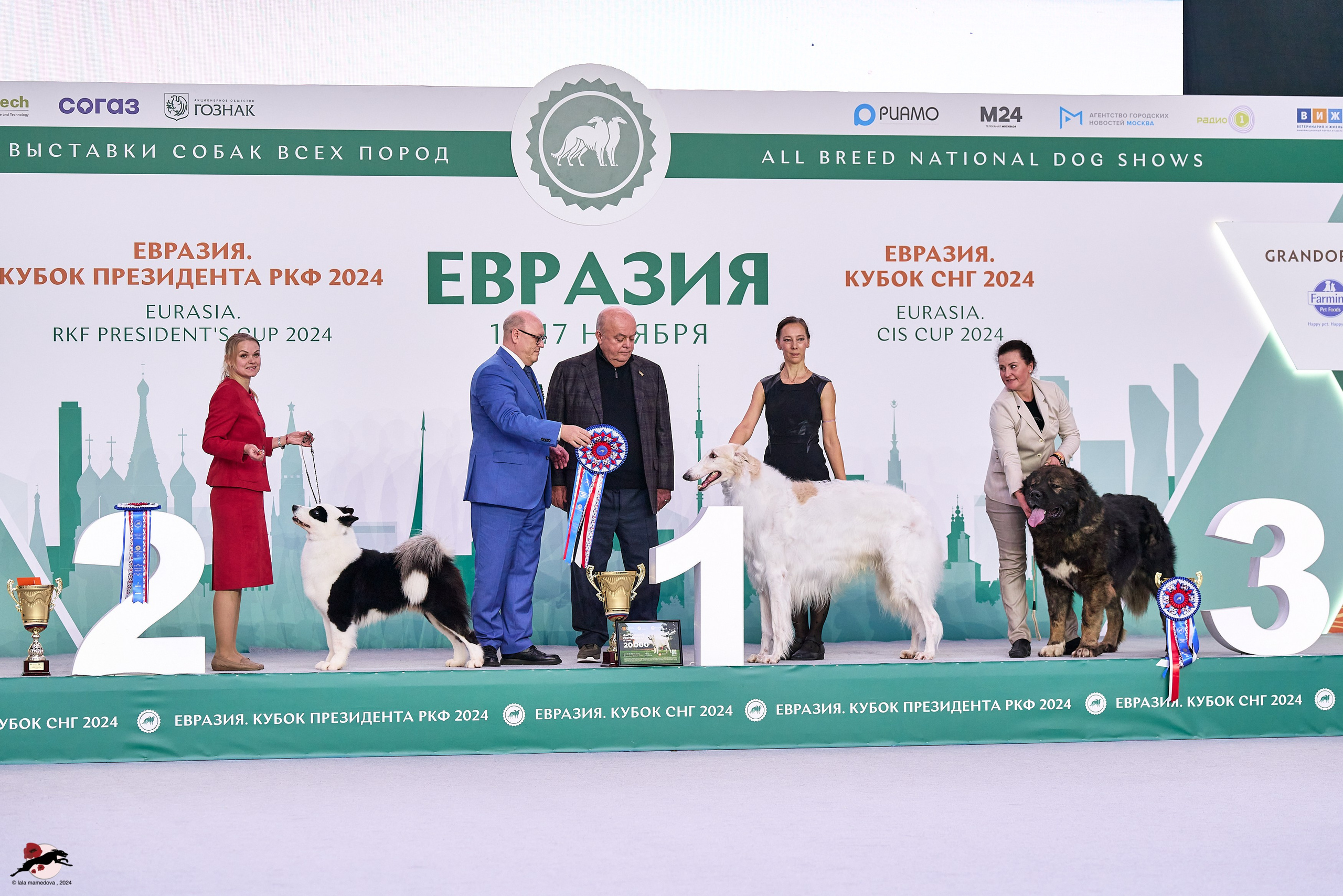 17.11.2024 «ЕВРАЗИЯ. КУБОК СНГ 2024»