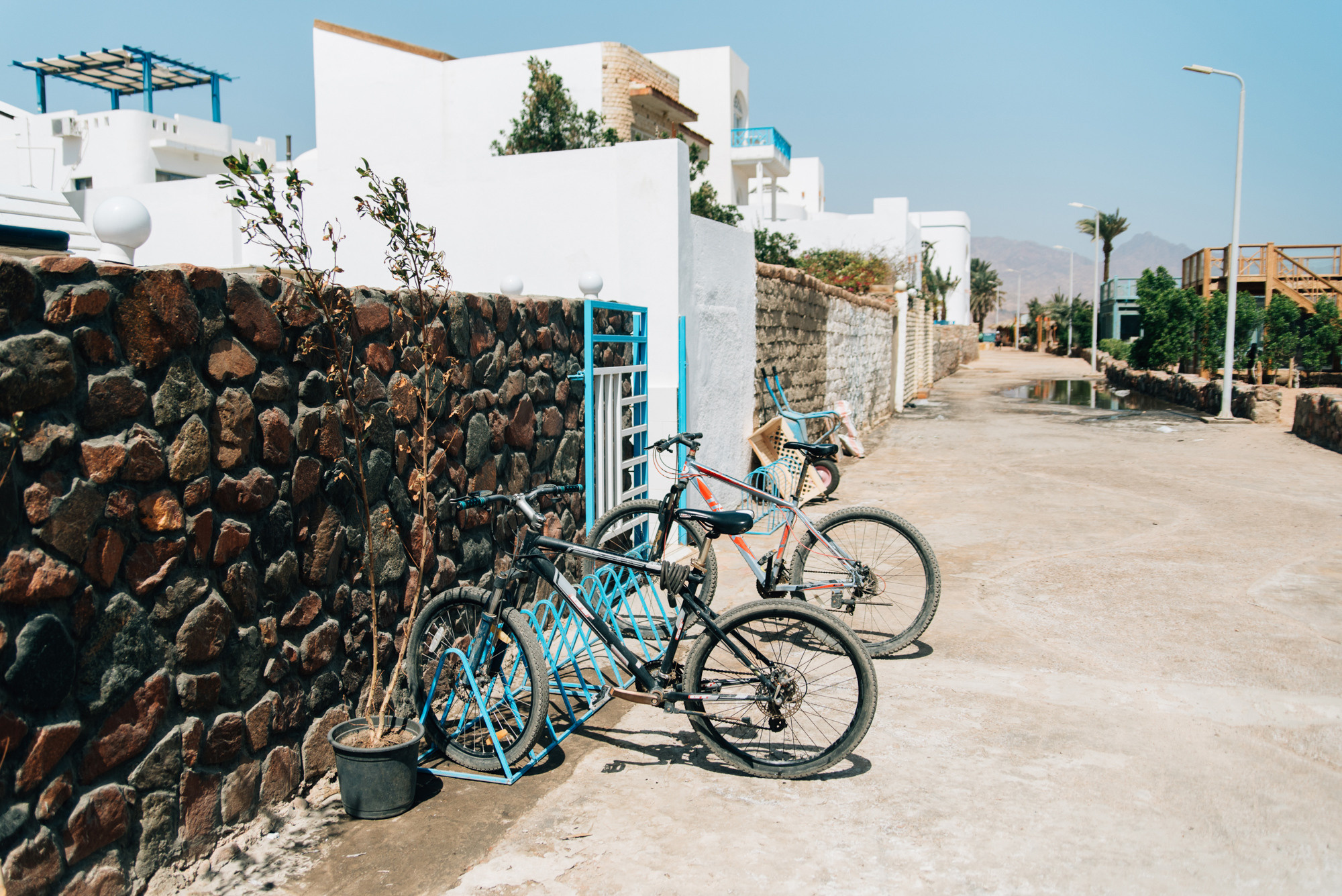 MOLLY&JENS. Photographe de mariage et de famille à Sharm El Sheikh Natalia Matlina