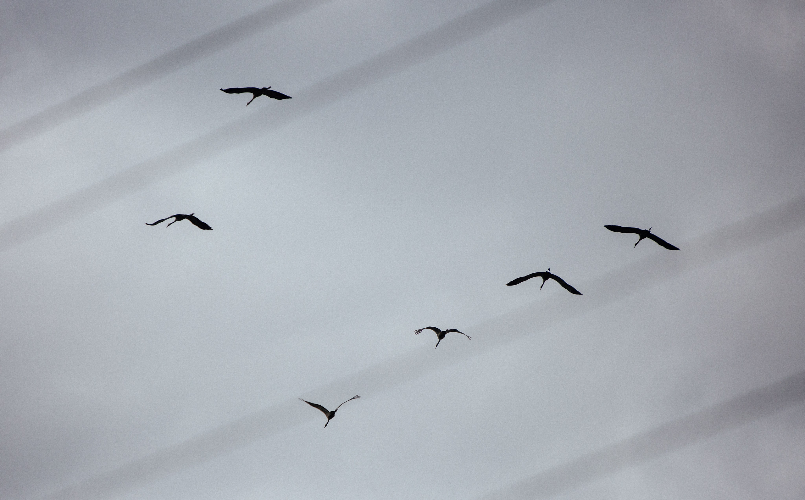 СЕЛО КОЛЕЖМА. Создание контента | Фото | Видеосъемка | Александр Ярков