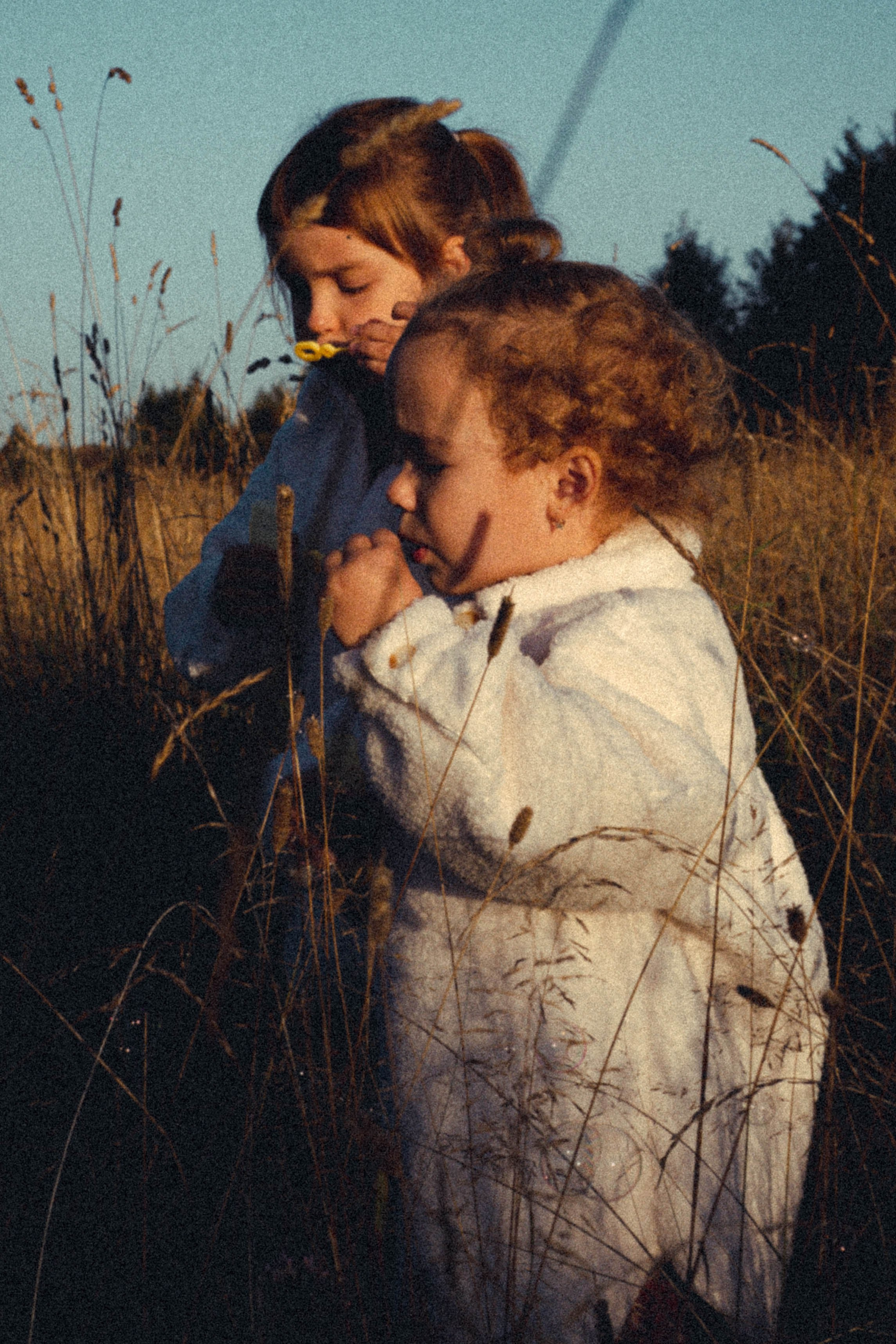 Семейная серия. Профессиональный фотограф, Санкт-Петербург — Виктория Богомолова