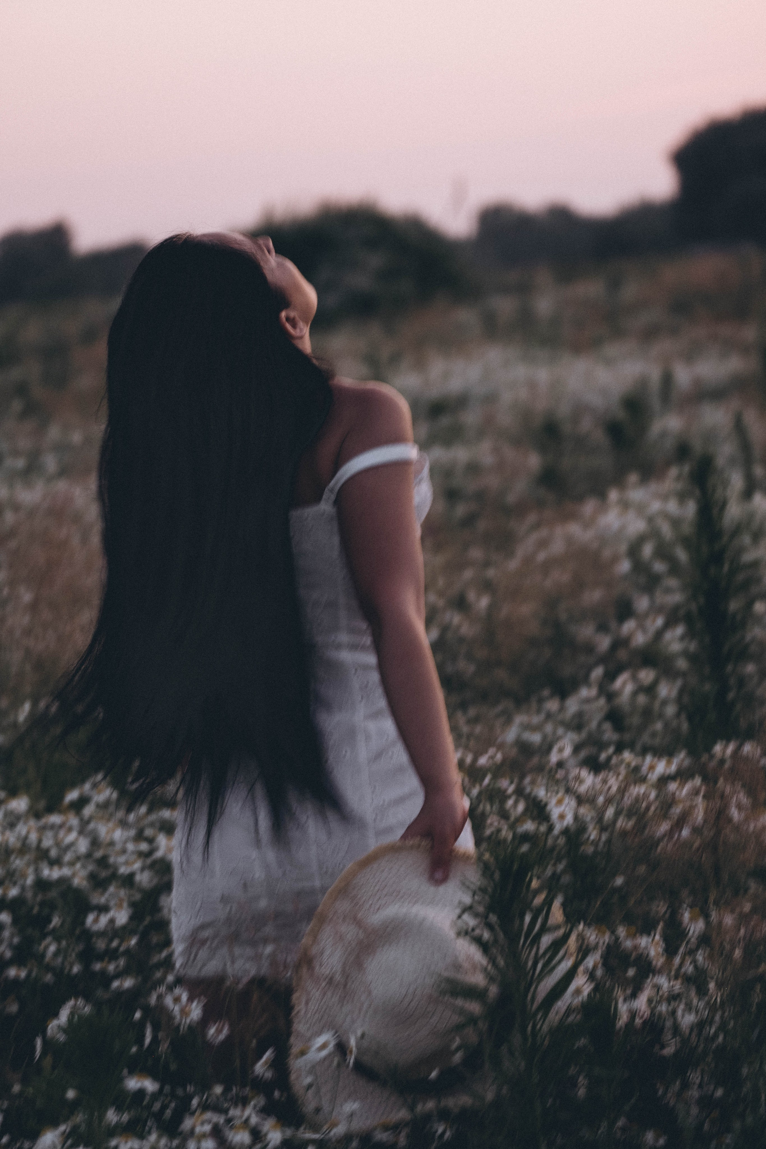 Ромашковое поле. Профессиональный фотограф, Санкт-Петербург — Виктория Богомолова