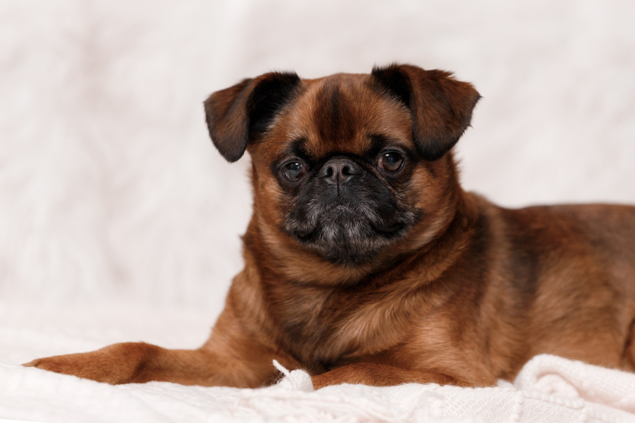 Мария и Арки. Фотограф-анималист в Калуге Мария Шерскова