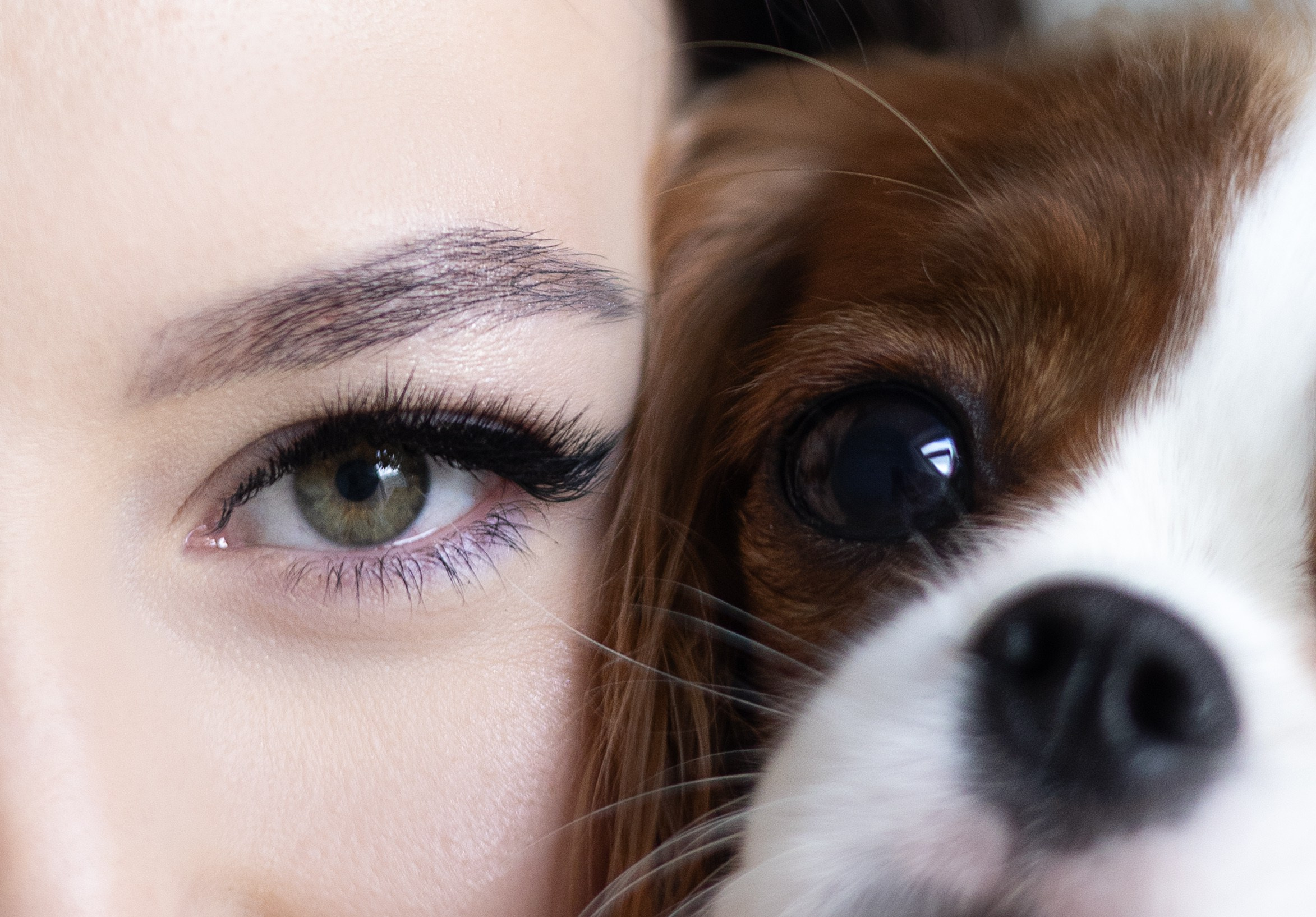 Саша и Эллисон. Фотограф животных Евгения Верцинская