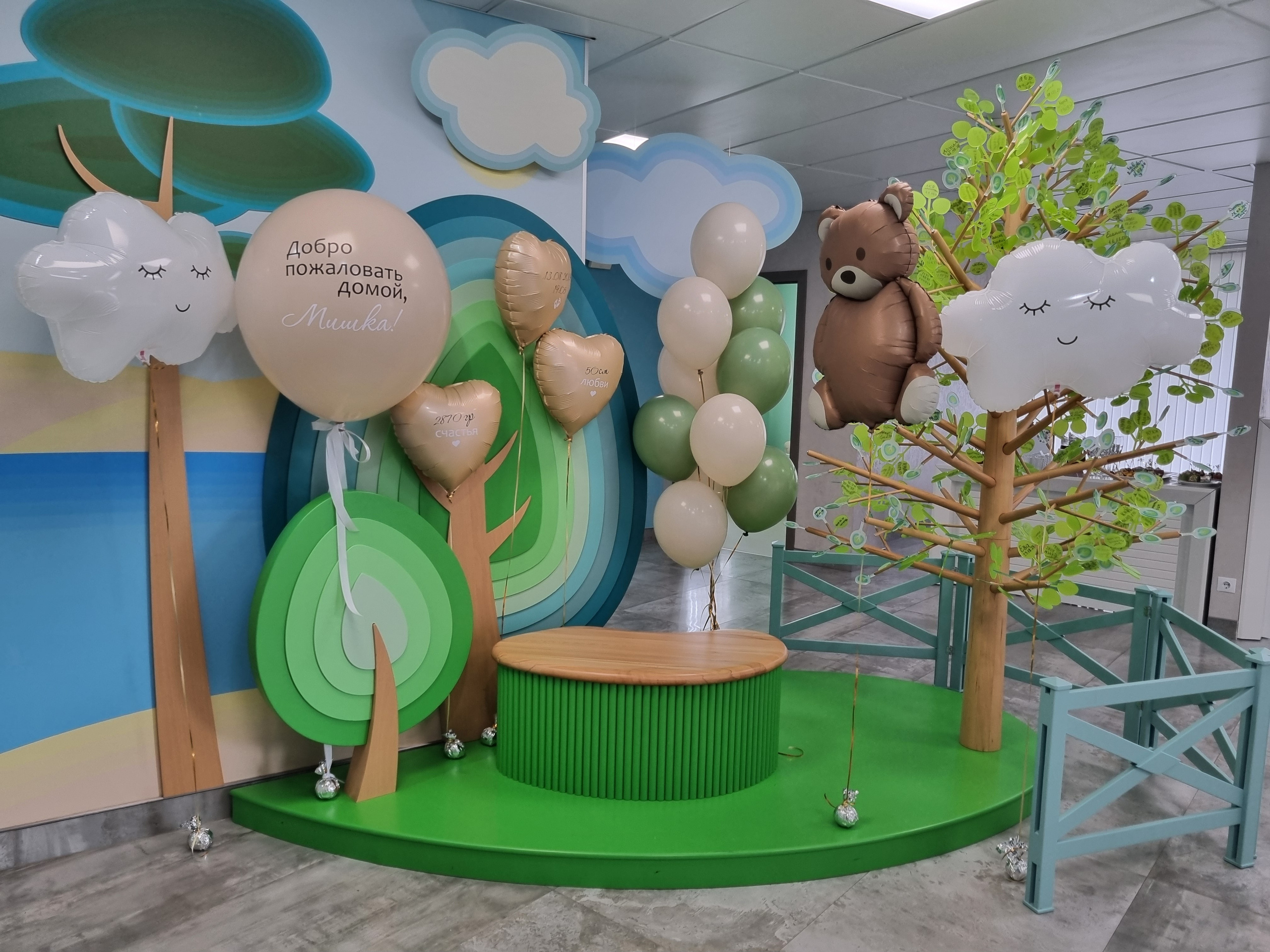 Фотограф в роддоме Сестрорецком г. Санкт-Петербург Банасиковская Ксения