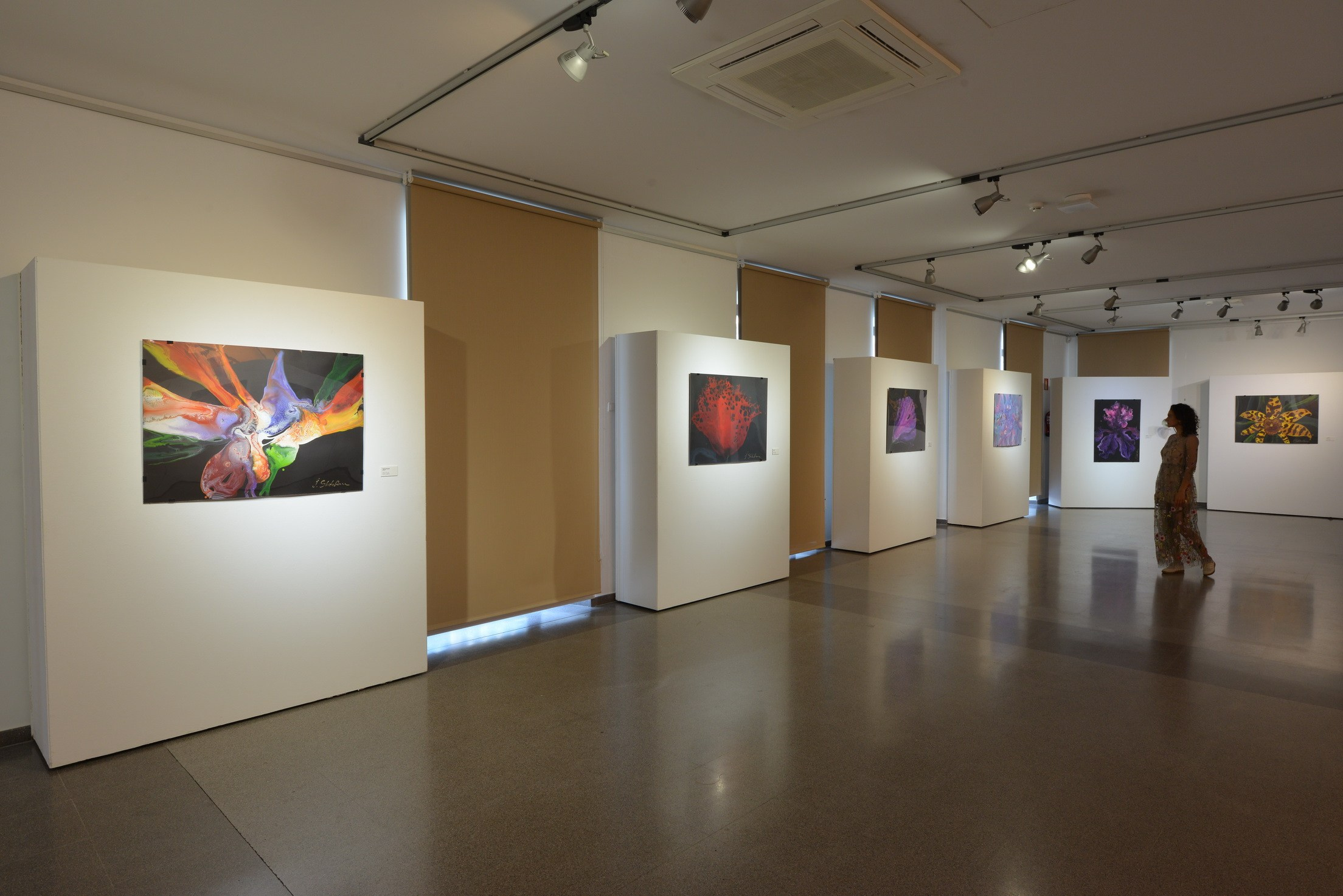 Exposición de Arte Abstracto. Fotógrafo Aleksandr Rybintsev