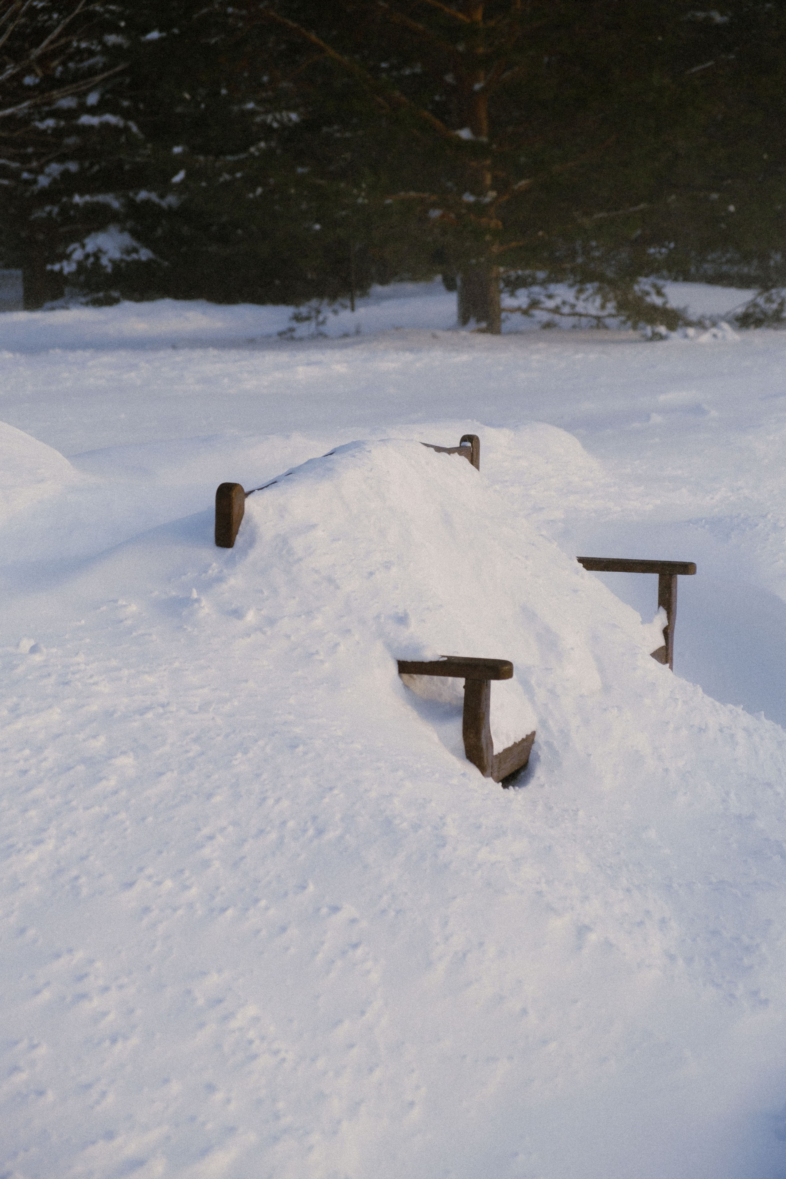 Замечательная повседневность. Контент-фотограф и видеограф в Перми