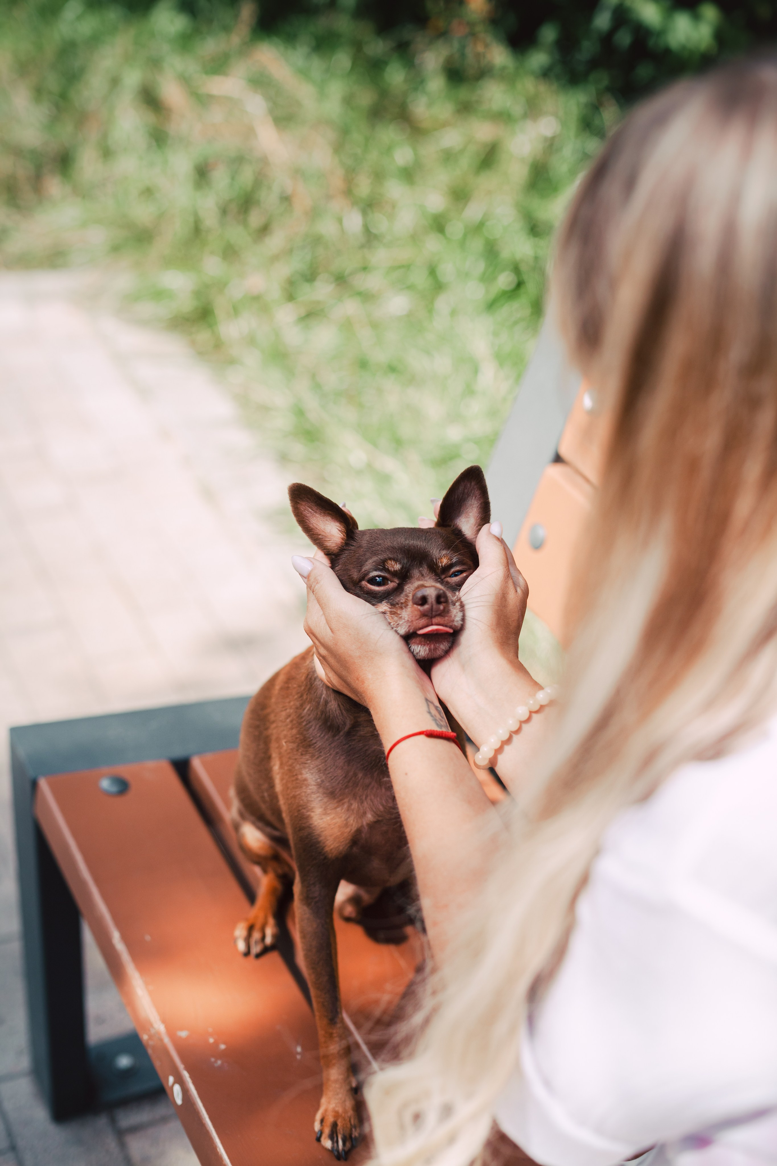 Восточный мост. Фотограф-анималист Татьяна Степанова