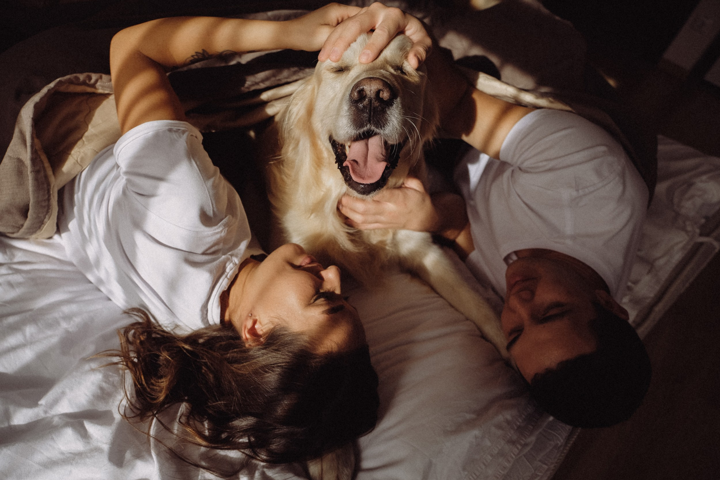 Макс, Марина и Найджел. Семейный фотограф Москва