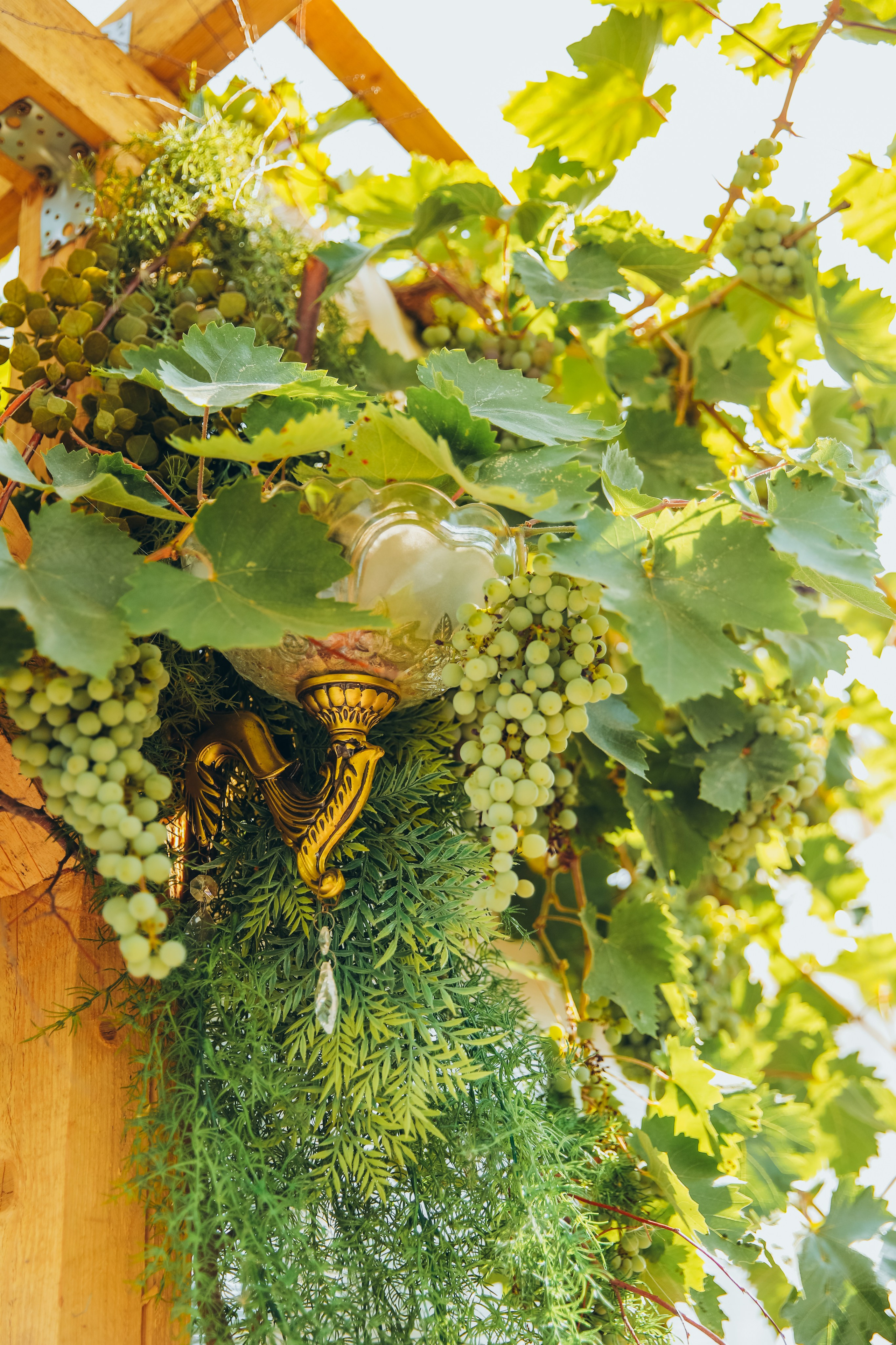 Уличная локация «Лесной дом». Фотостудия в Мариуполе «Берлога»