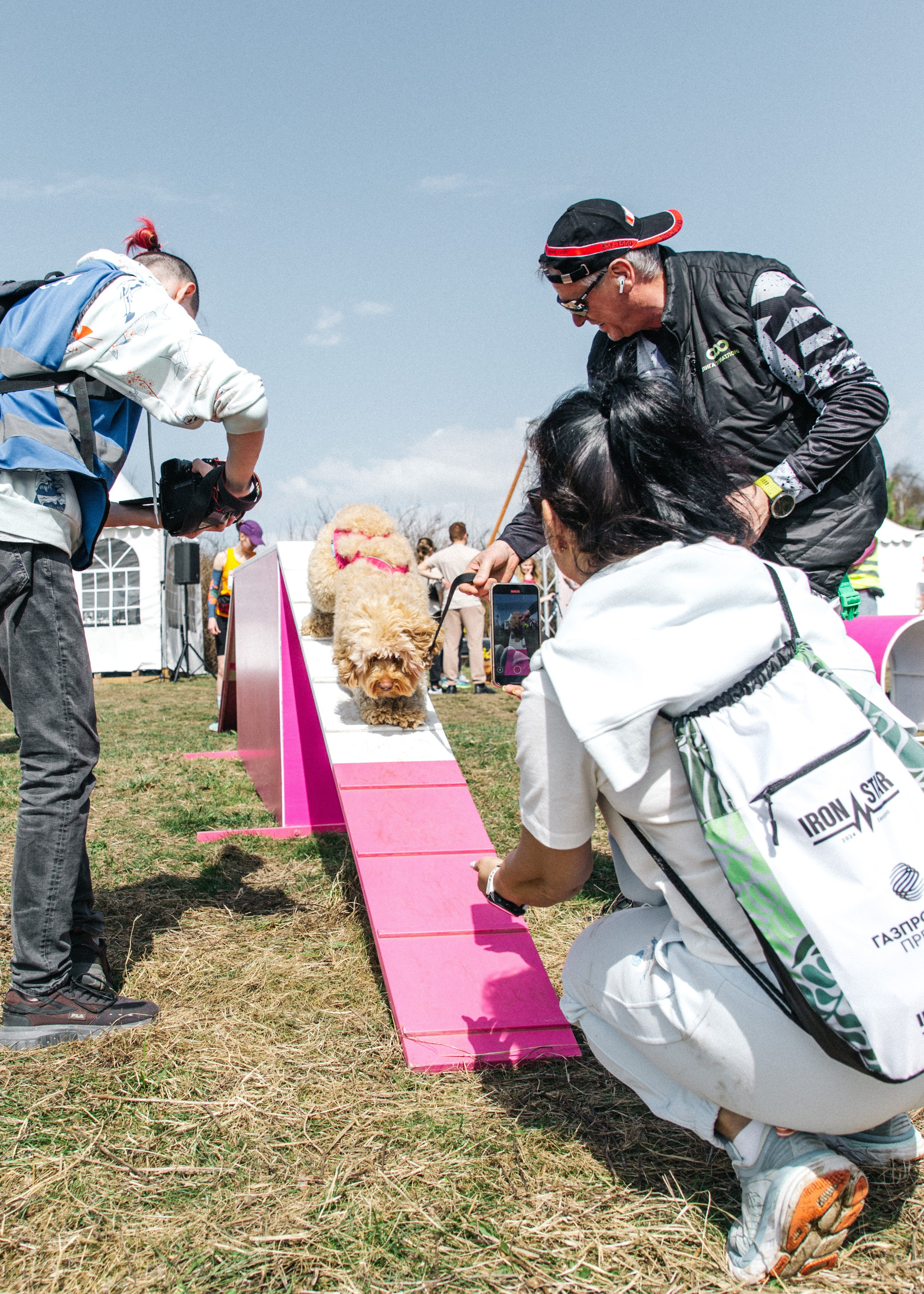 Кросс «Быстрый пёс» 2025. Репортажный фотограф в Москве