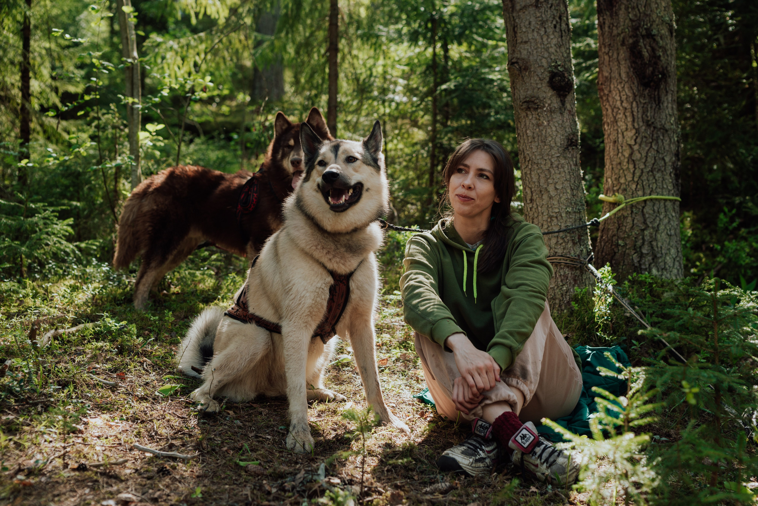 Догтрекинг. Фотограф в Санкт-Петербурге и Ленинградской области