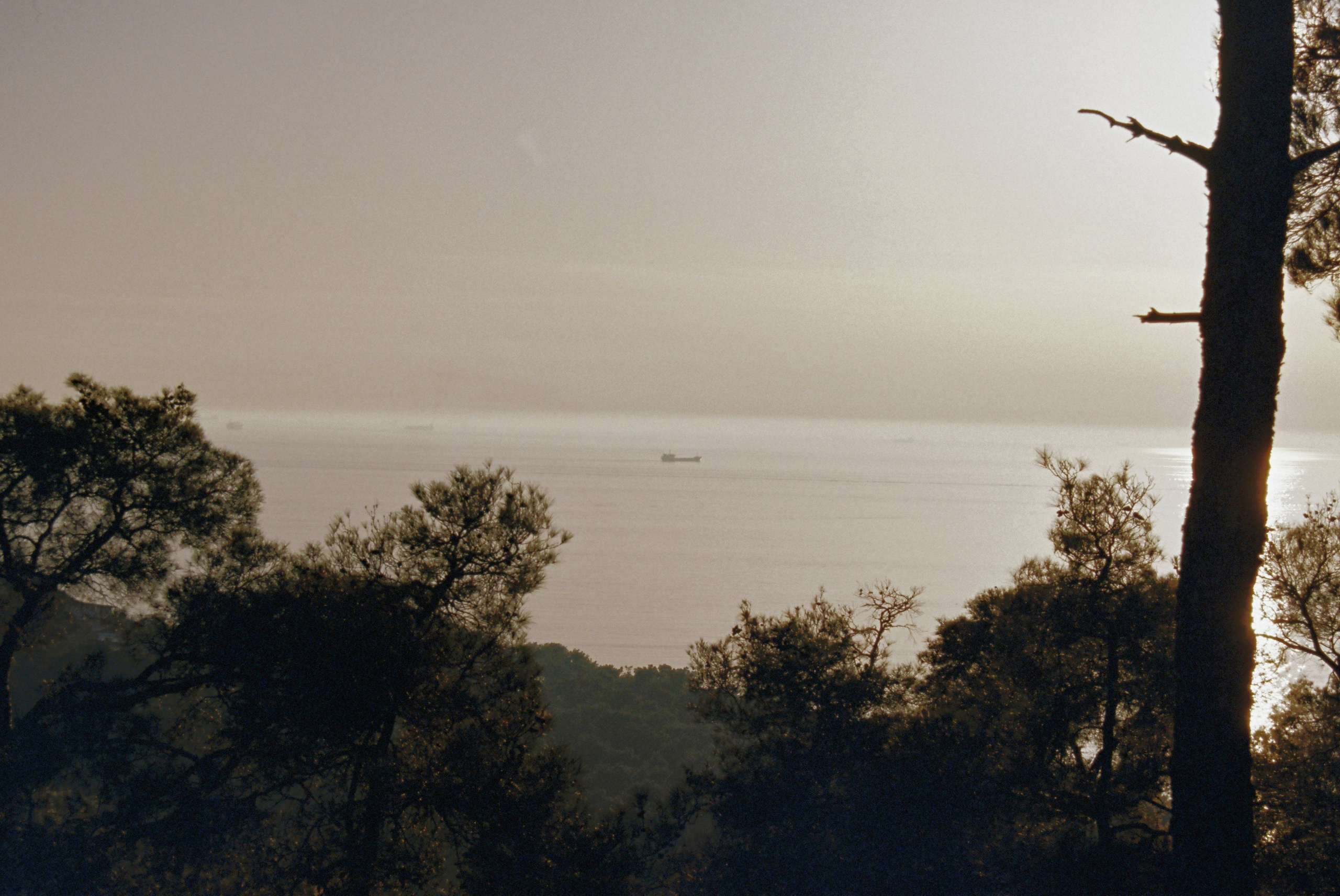 Film chronicle. Kosky ilya