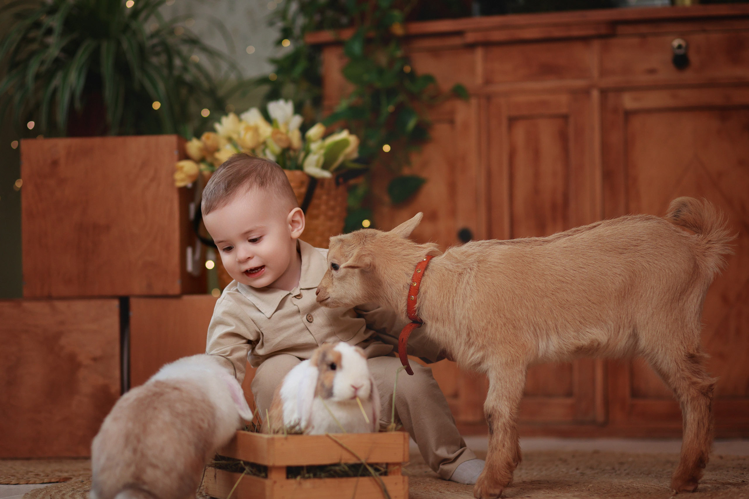 Фотопроект с козочкой и кроликами. Детский семейный фотограф Краснодар