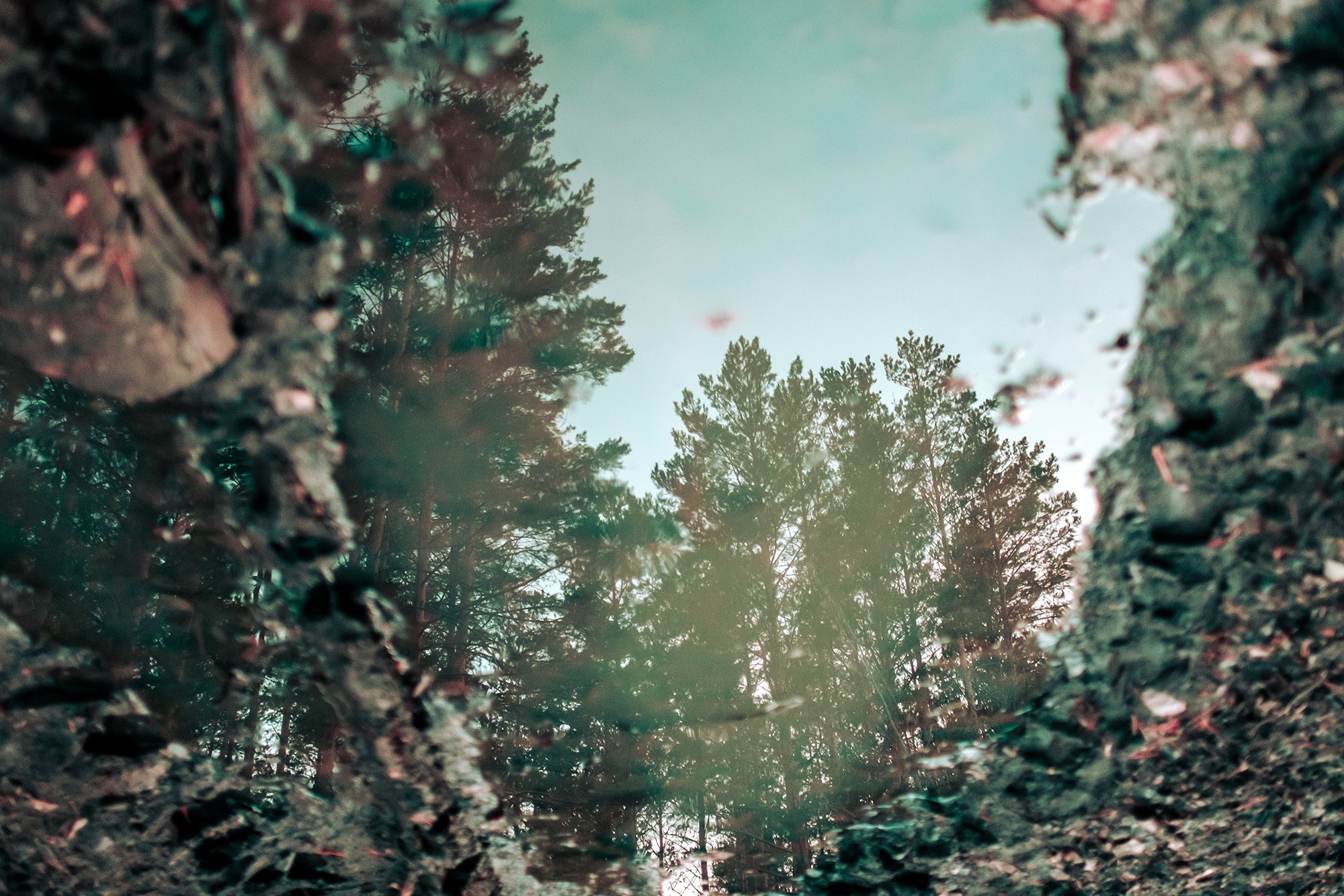 Природа. Фотограф в городе Каменск-Уральский — Метелёв Андрей