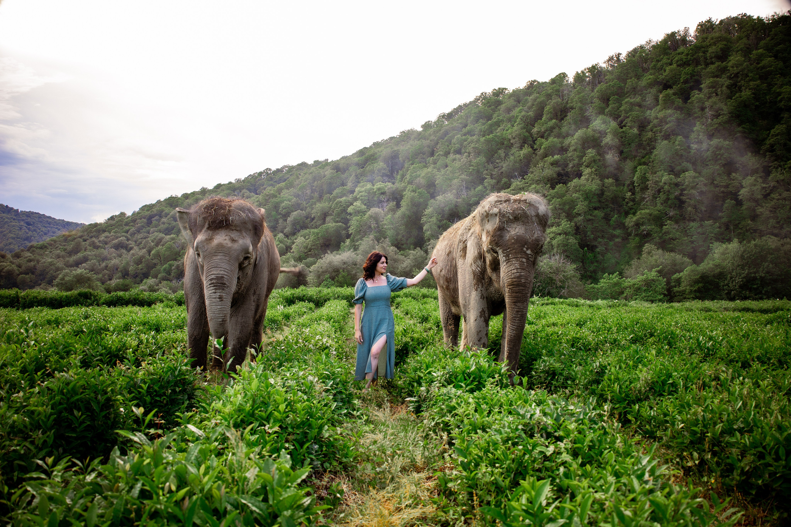 Портретные. Семейный и Свадебный фотограф в Сочи