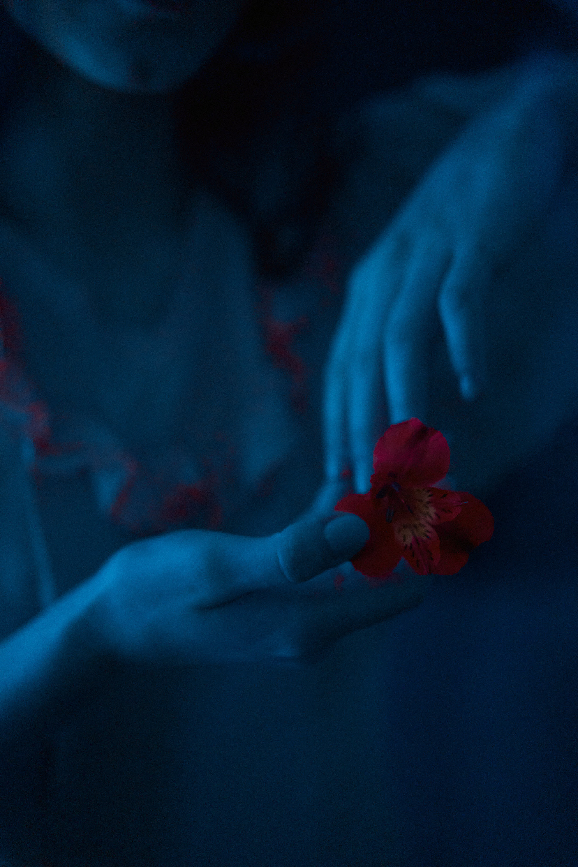 Фотограф Андрей Жеребцов — Уфа