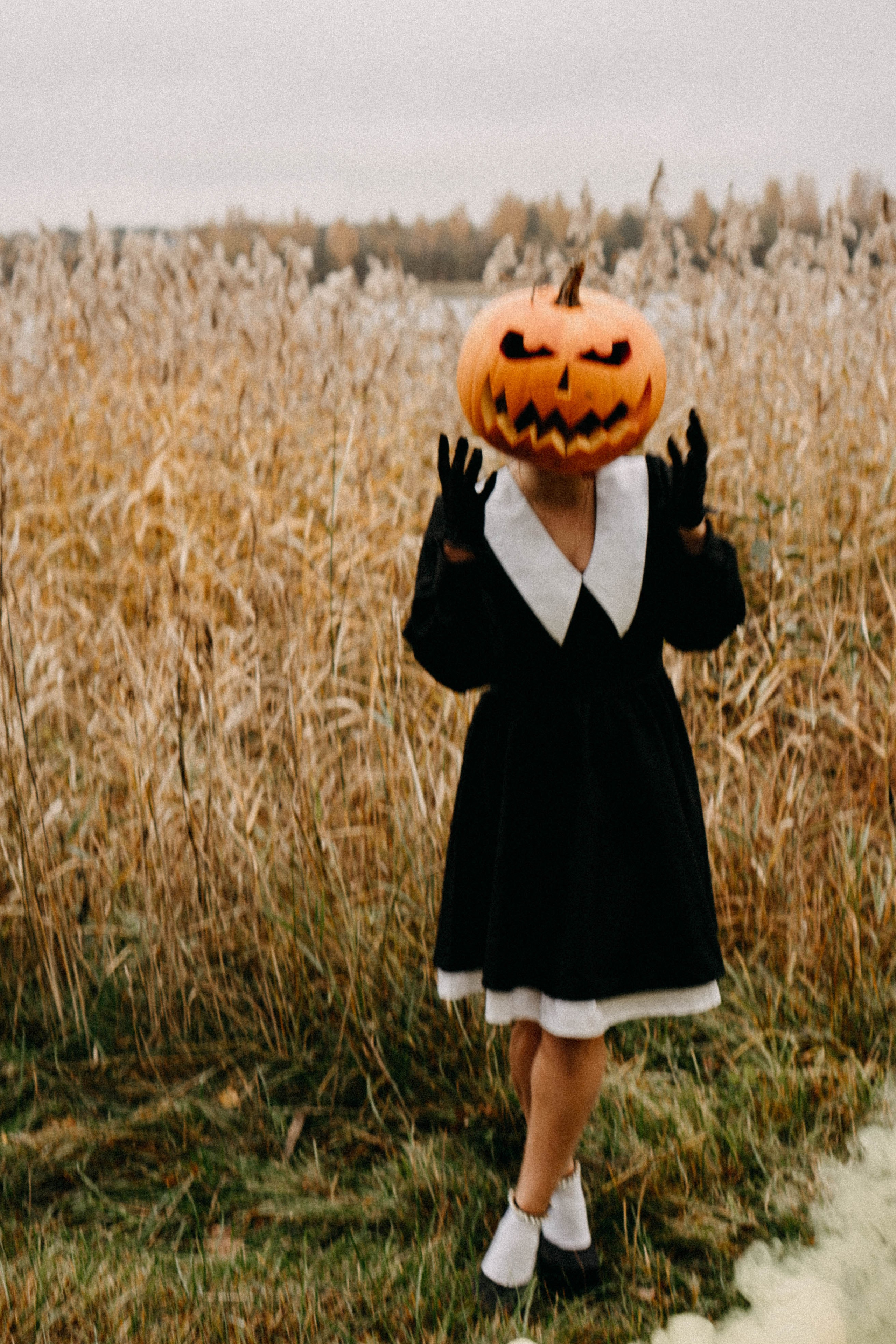 Осеняя. Профессиональный фотограф, Санкт-Петербург — Виктория Богомолова