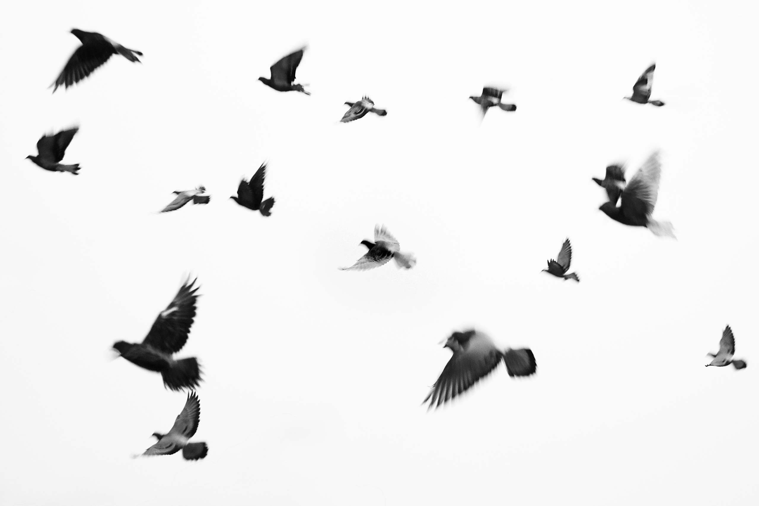 ПОРТФОЛИО. VS PRODUCTION СПБ