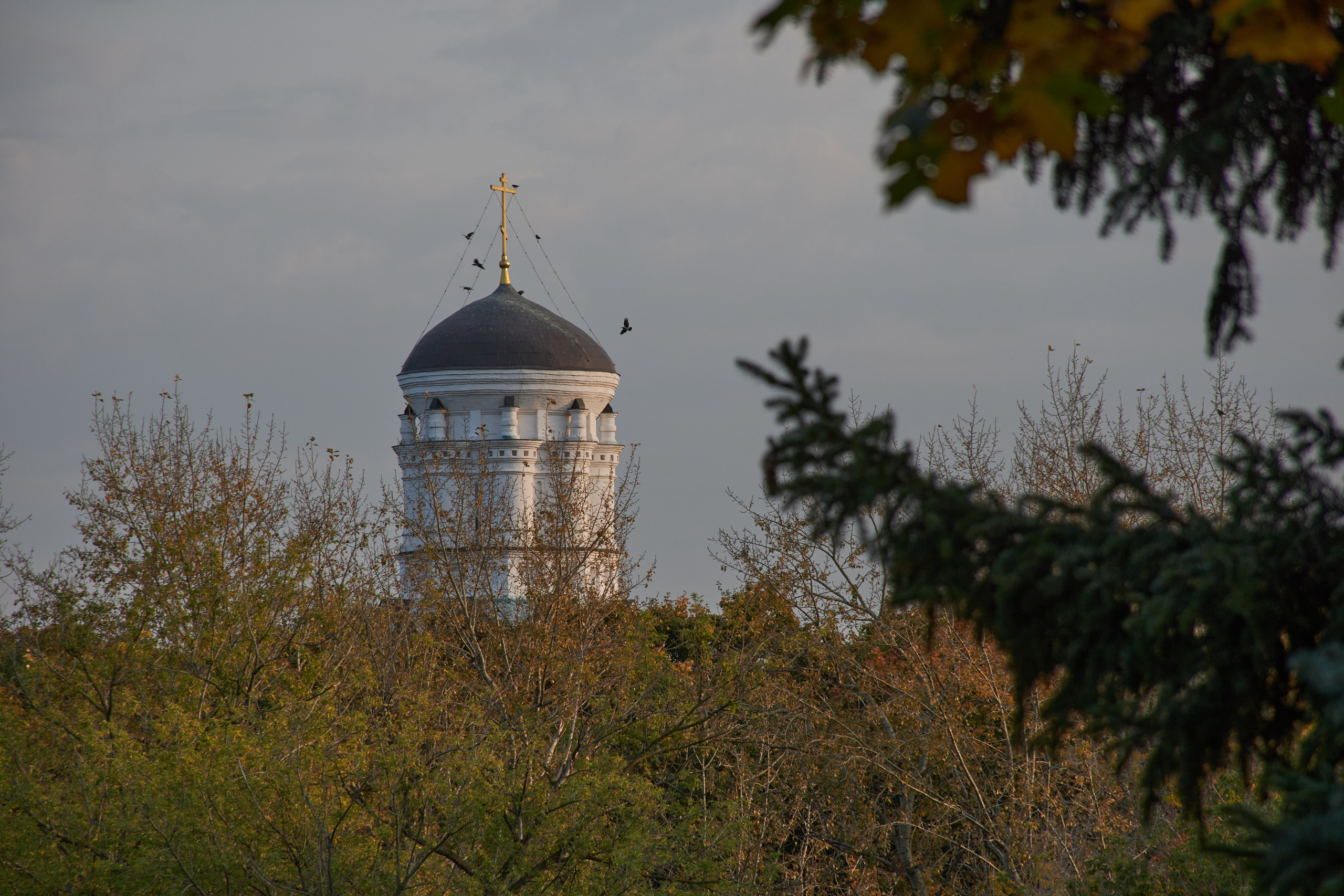 20200927 Коломенское. Дмитрий Ремизов. Фотография, как хобби