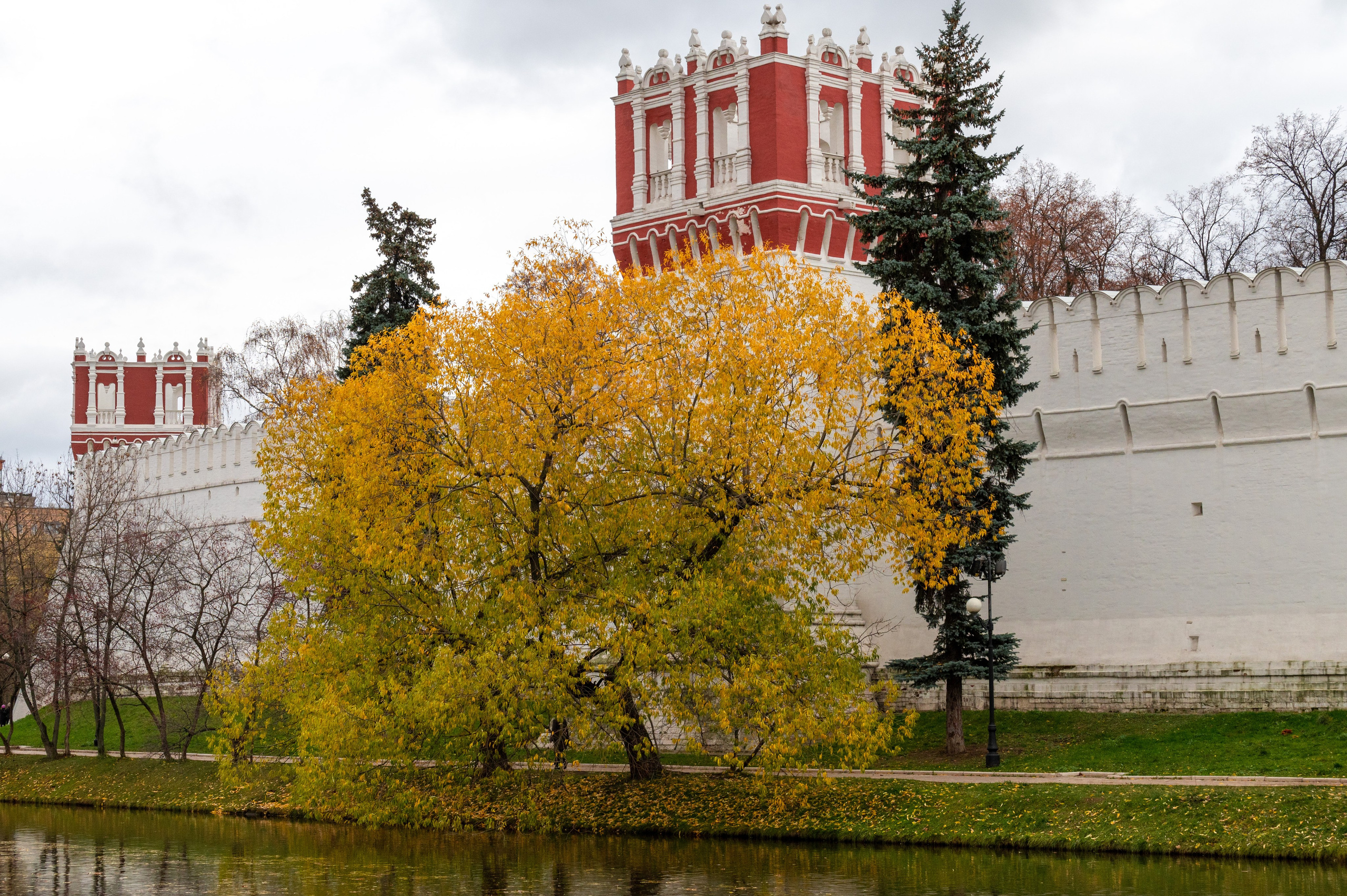 20221030 Новодевичий. Дмитрий Ремизов. Фотография, как хобби