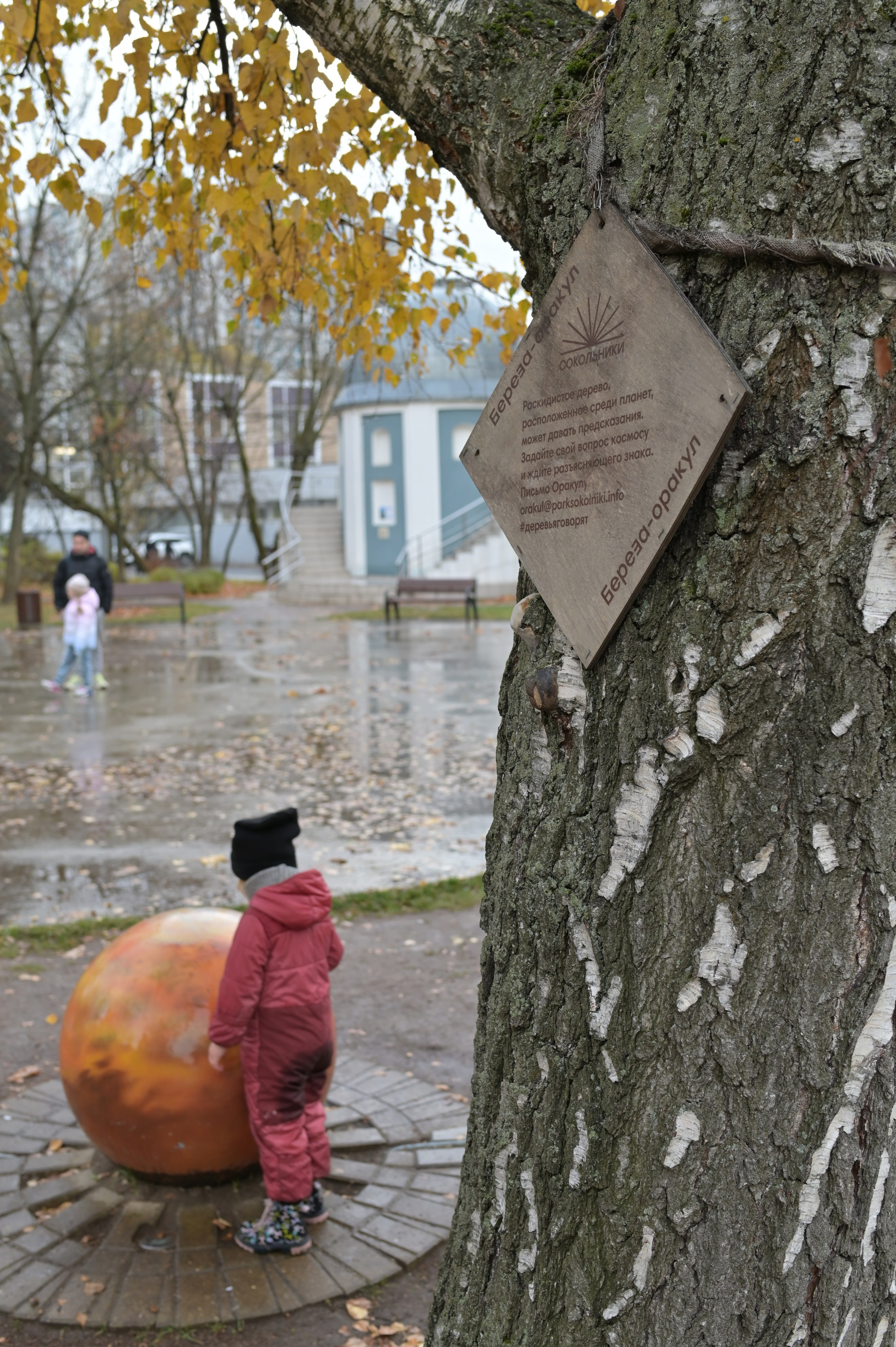 20241026 Сокольники. Дмитрий Ремизов. Фотография, как хобби