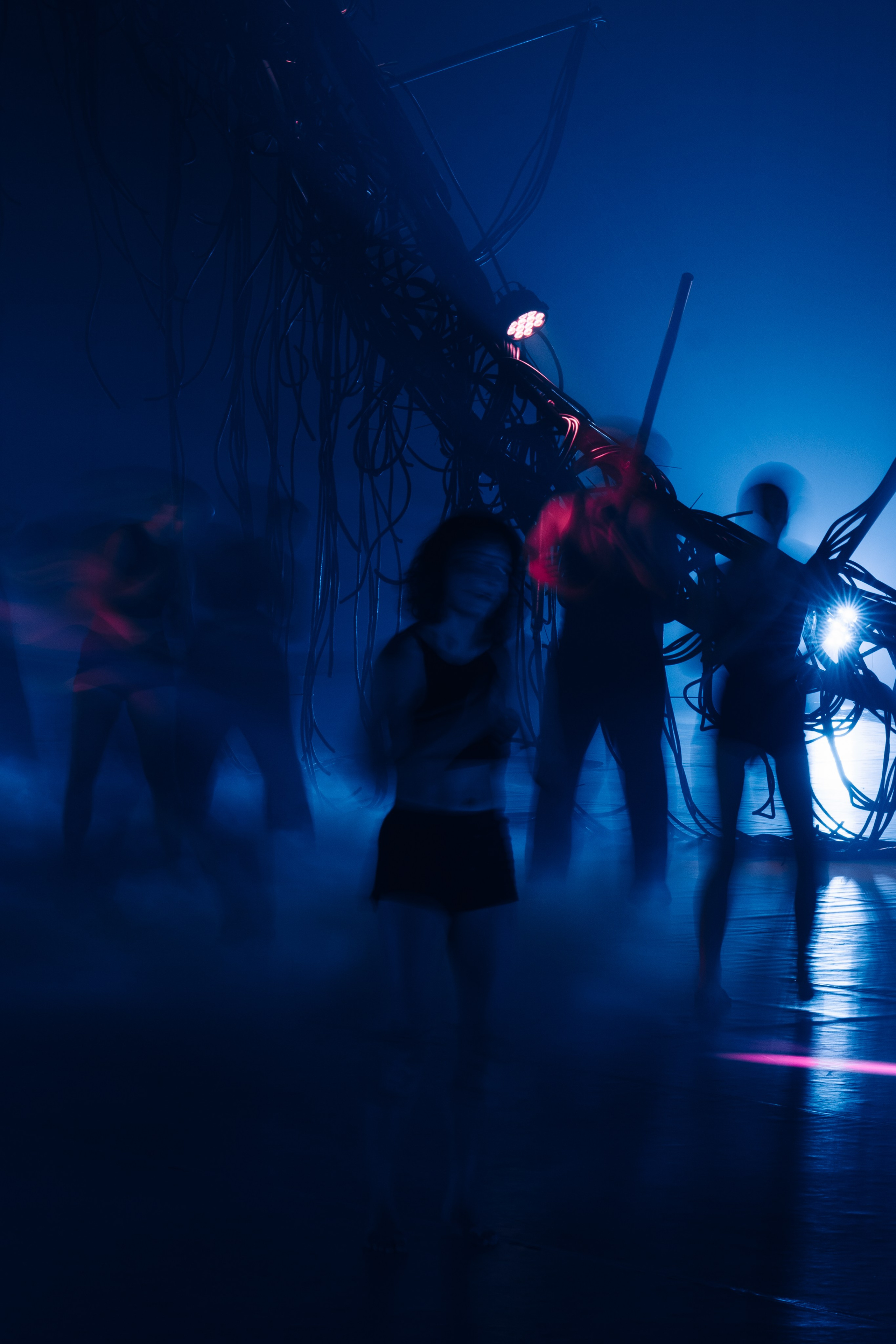 PERFORMA, The Hour of the Horse. @tomrus: Рустам Шагиморданов — фотограф