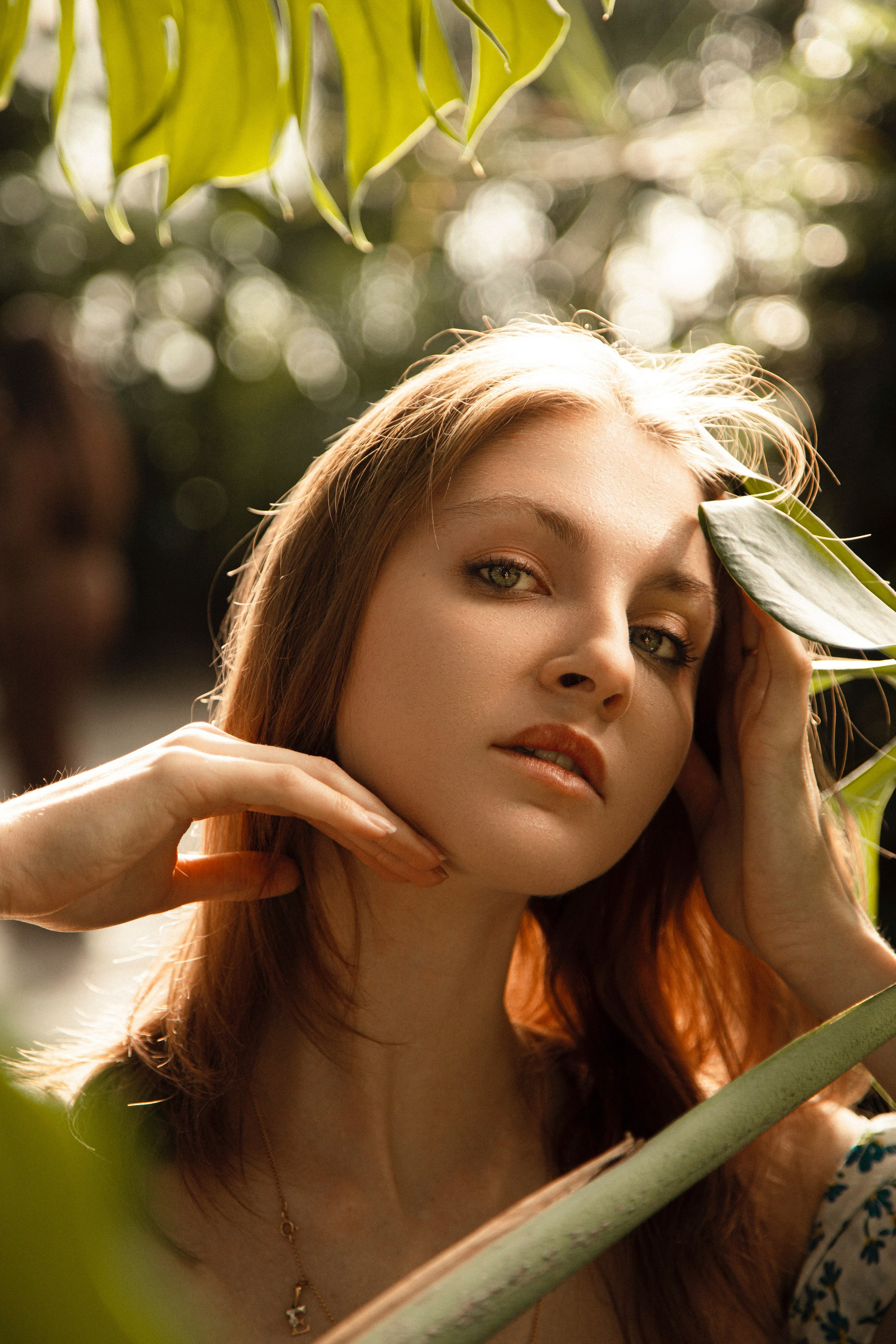 Оранжерея Таврического сада