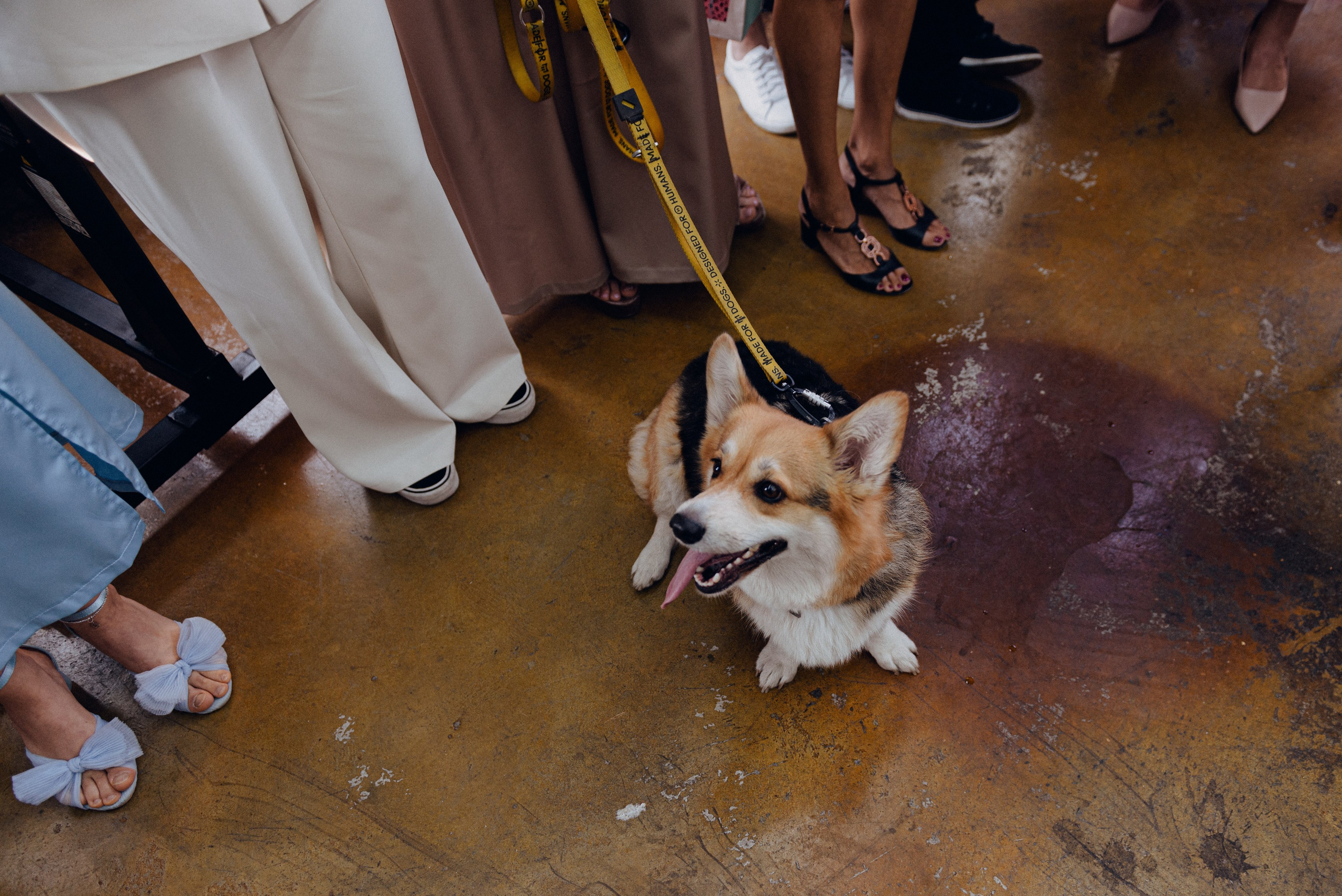 WED: Ольга и Александр. Портретный фотограф в Москве Даша Беседина