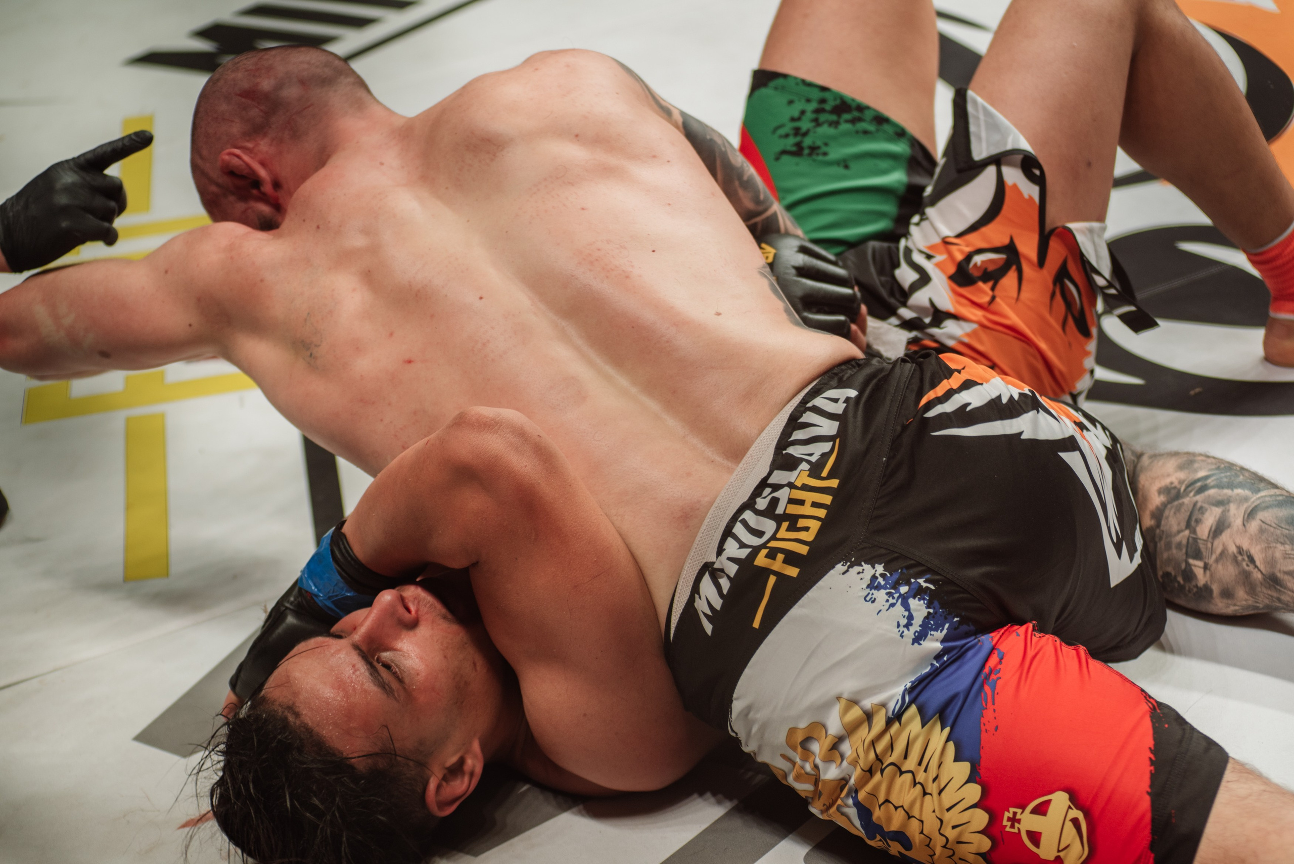 Miroslava Fight