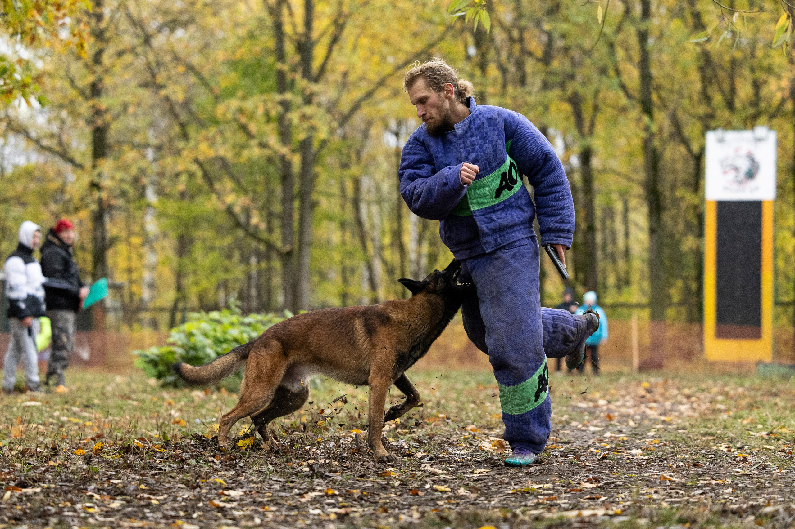 Соревнования по Мондьорингу г. Вологда. Фотограф-анималист Анна Маринич