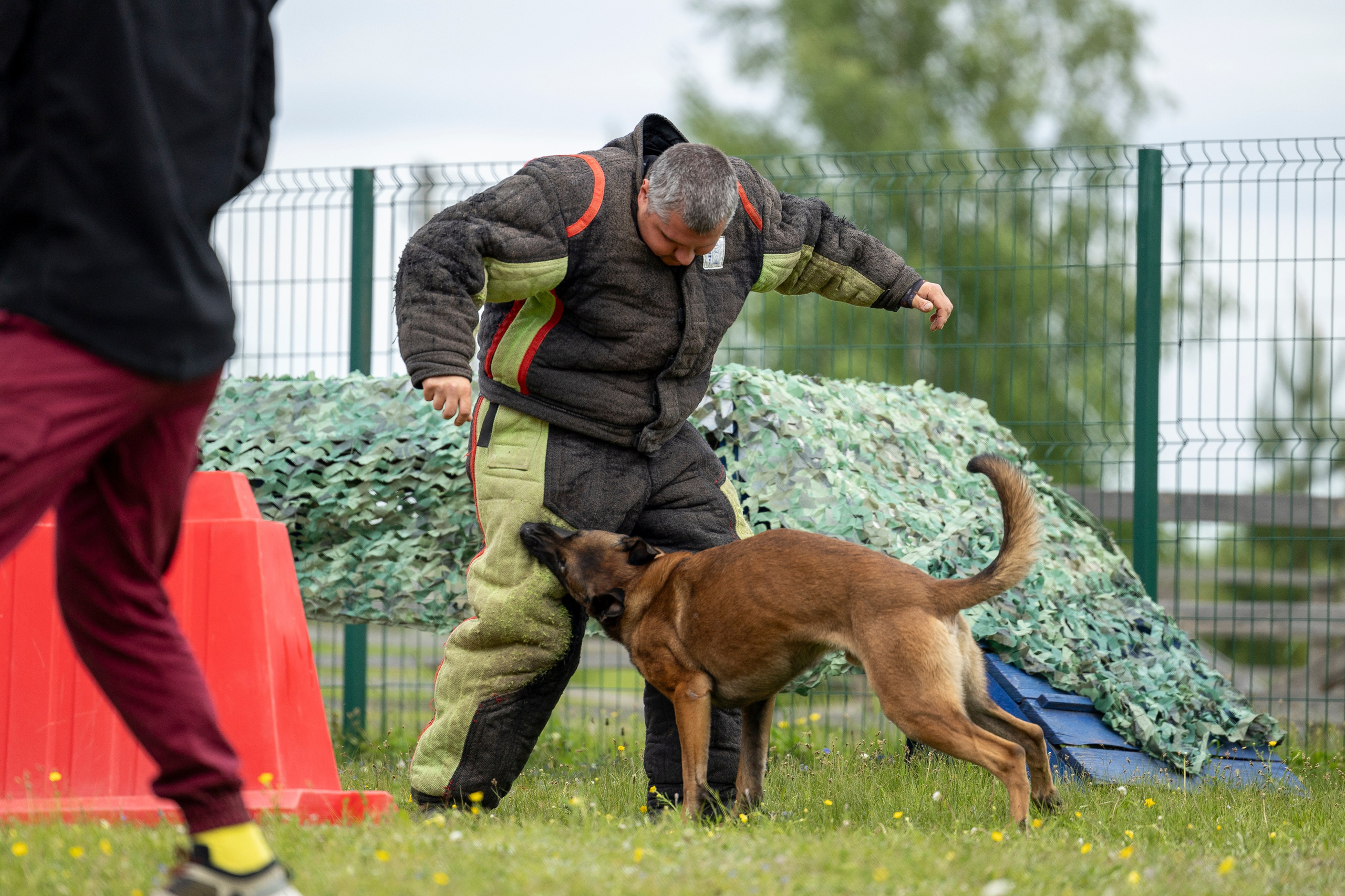Испытания по мондьорингу в Нижнем Новгороде. Фотограф-анималист Анна Маринич