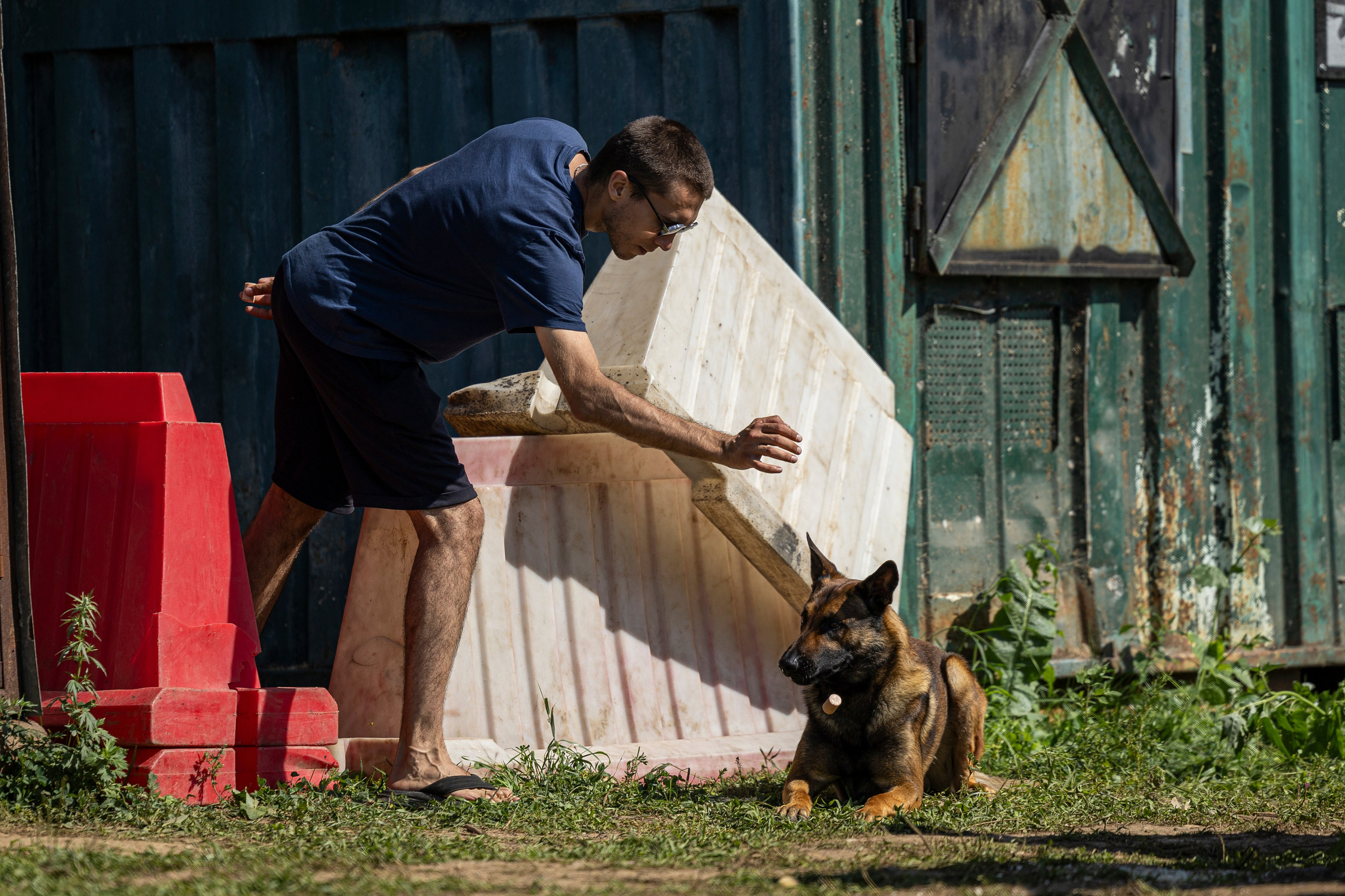Соревнования по Мондьорингу г. Вологда 10-11.08.2024. Фотограф-анималист Анна Маринич
