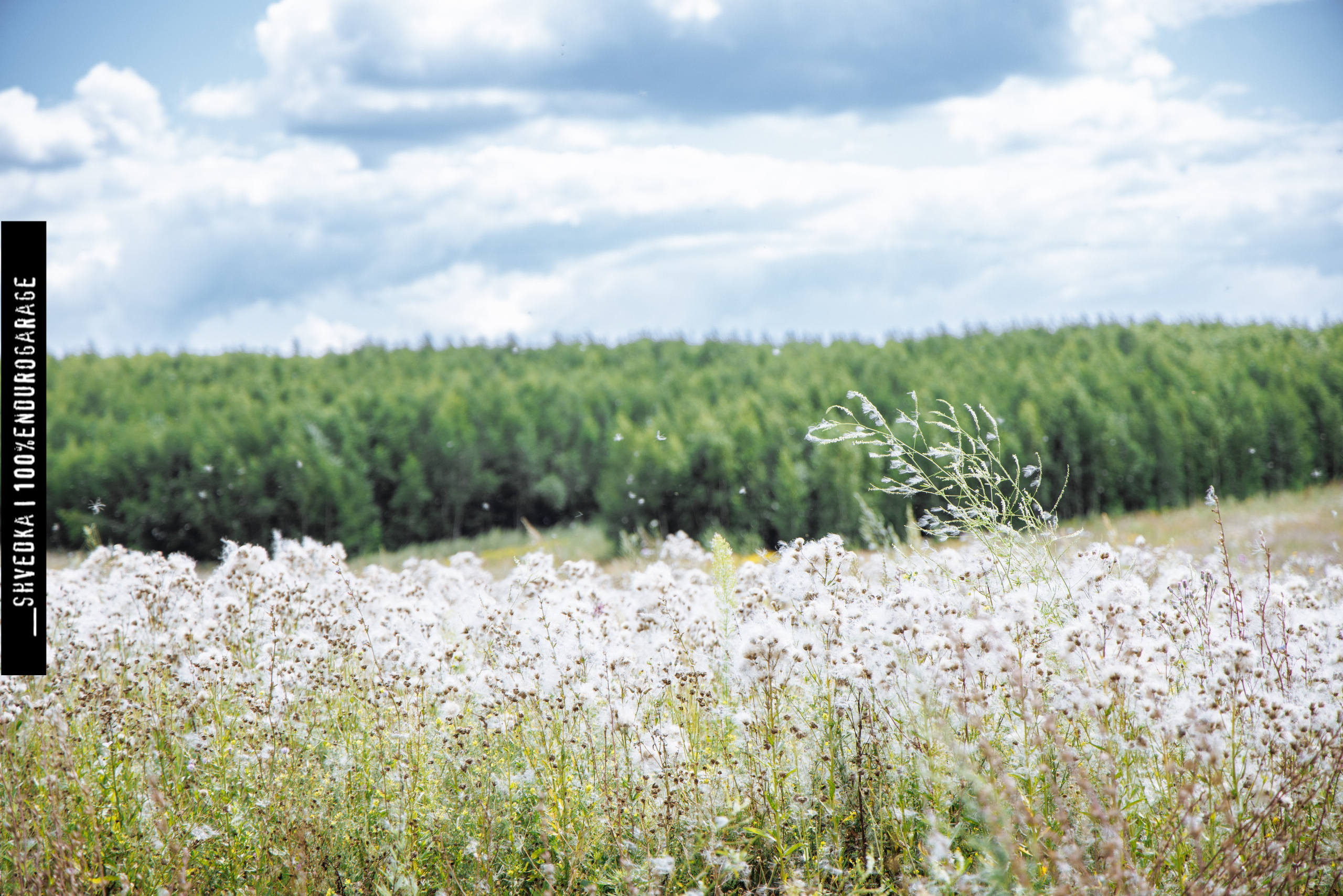 ПЕРВЫЙ ЛЕСНОЙ ДЕНЬ. Ваш экстрим фотограф Кудрева Яна