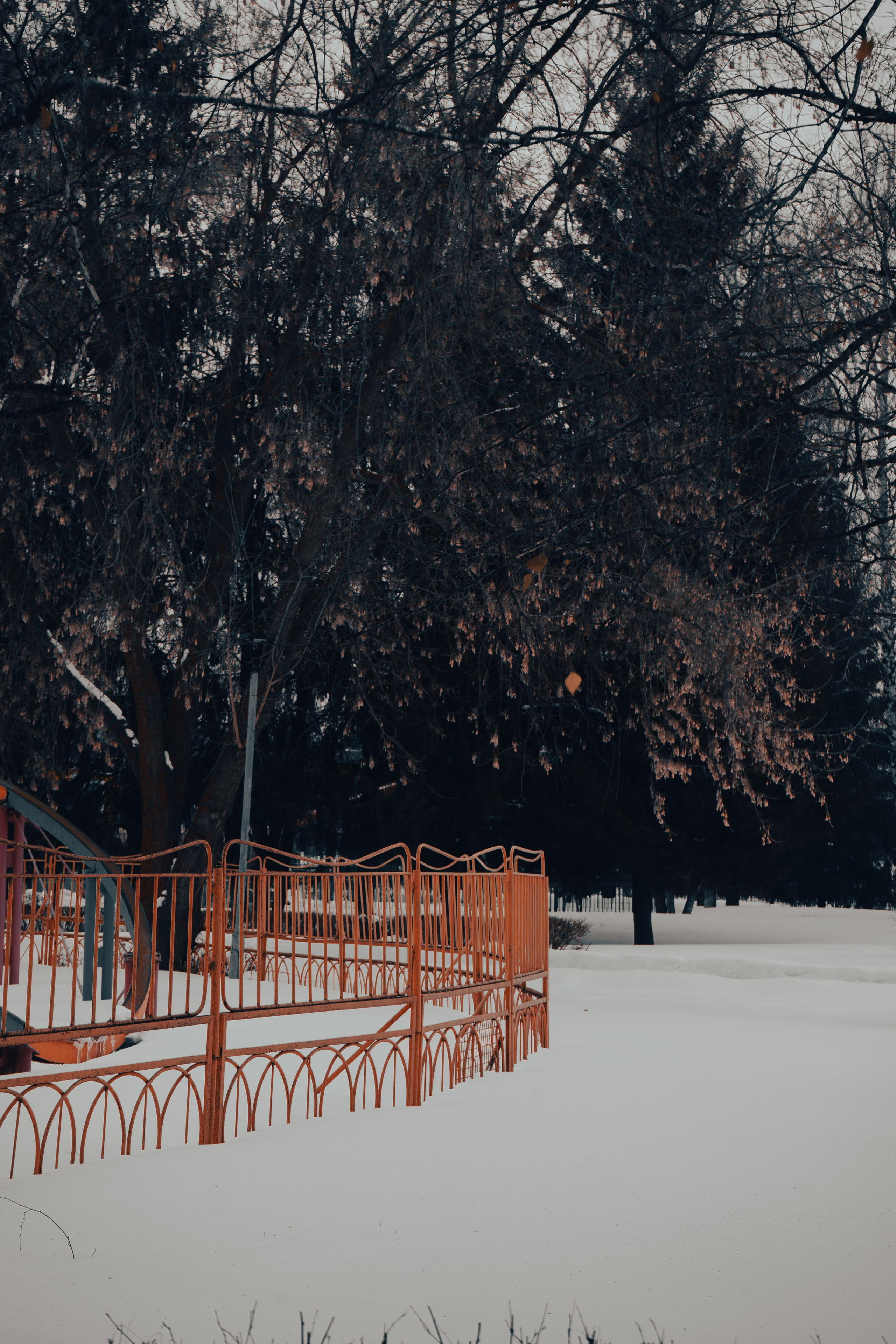 Стрит — фотография в Санкт-Петербурге. Портретный фотограф в Санкт-Петербурге Дори Милиева