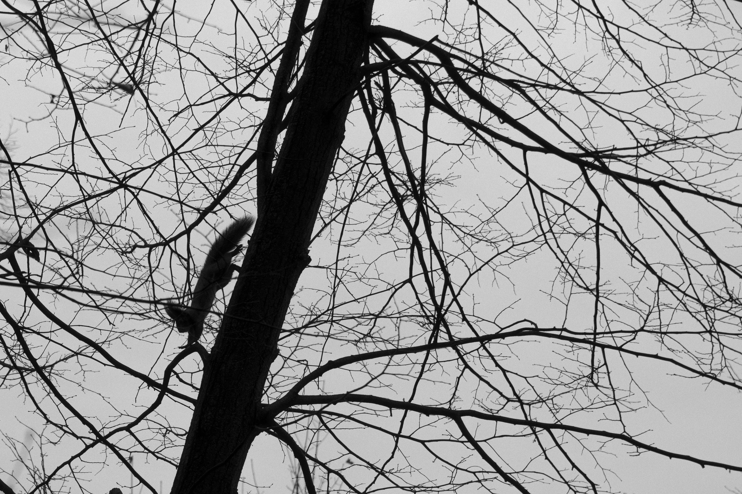 Русско-Немецкая Швейцария. Арсений Марасинский — фотограф в Казани