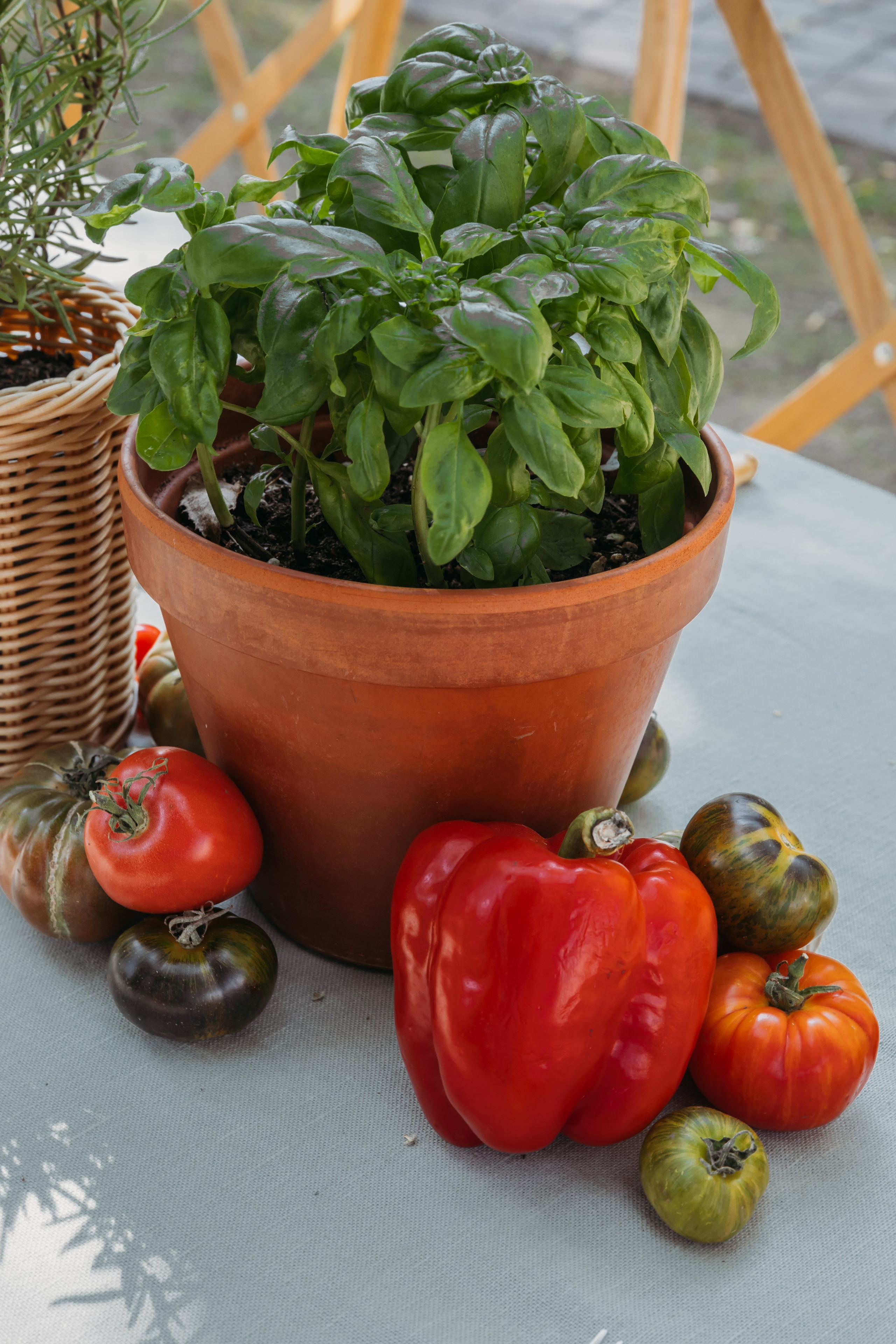 Родные люди «Итальянский день». Леся Гаранина. Семейный фотограф/видеограф Москва и область