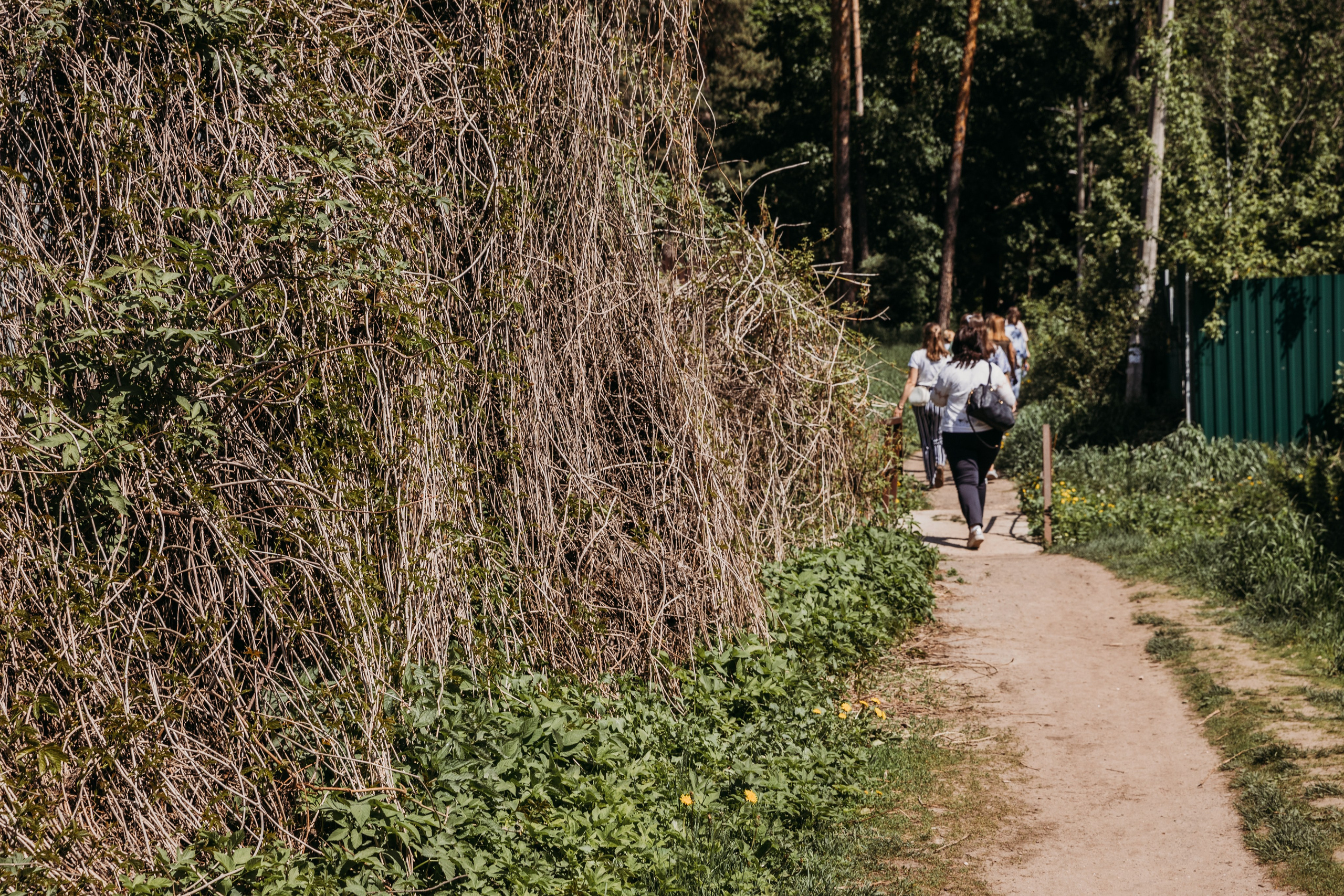 Родные люди «Кратово». Леся Гаранина. Семейный фотограф/видеограф Москва и область