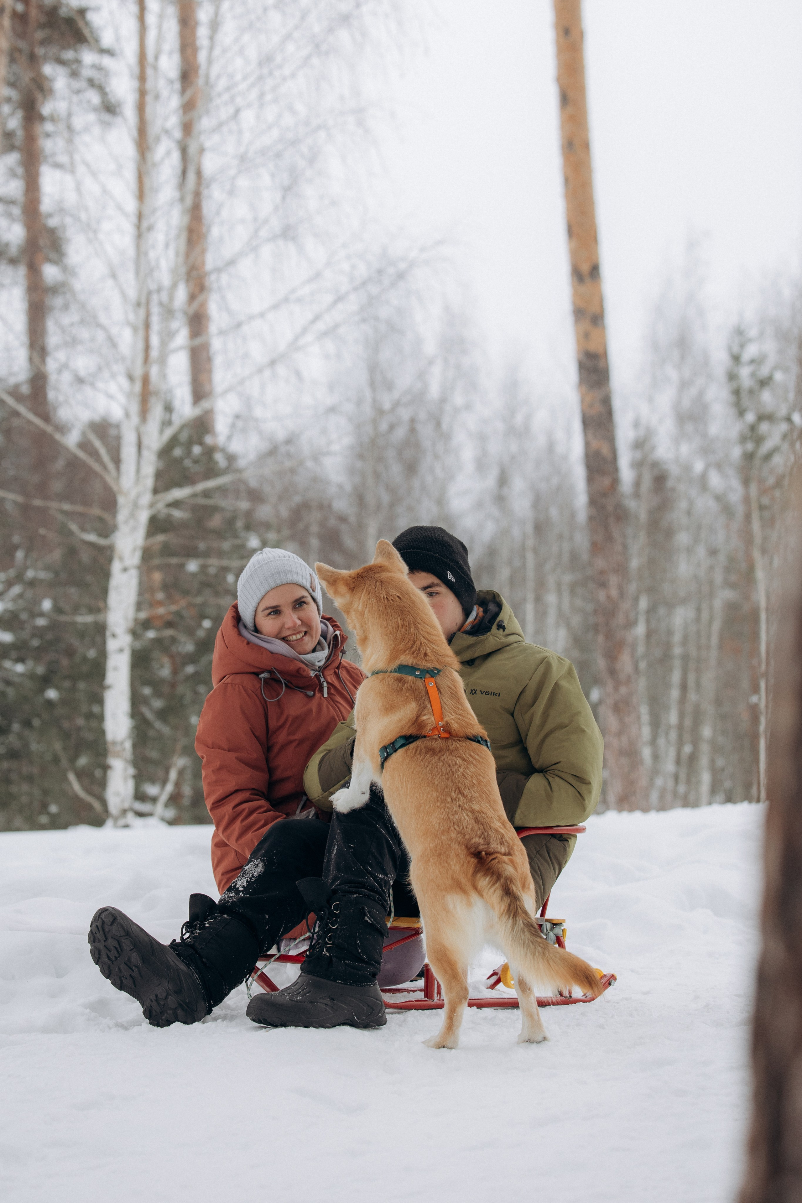 Прогулка на озере зимой. Фотограф анималист в Казани Алина Сулейманова. Фотограф животных