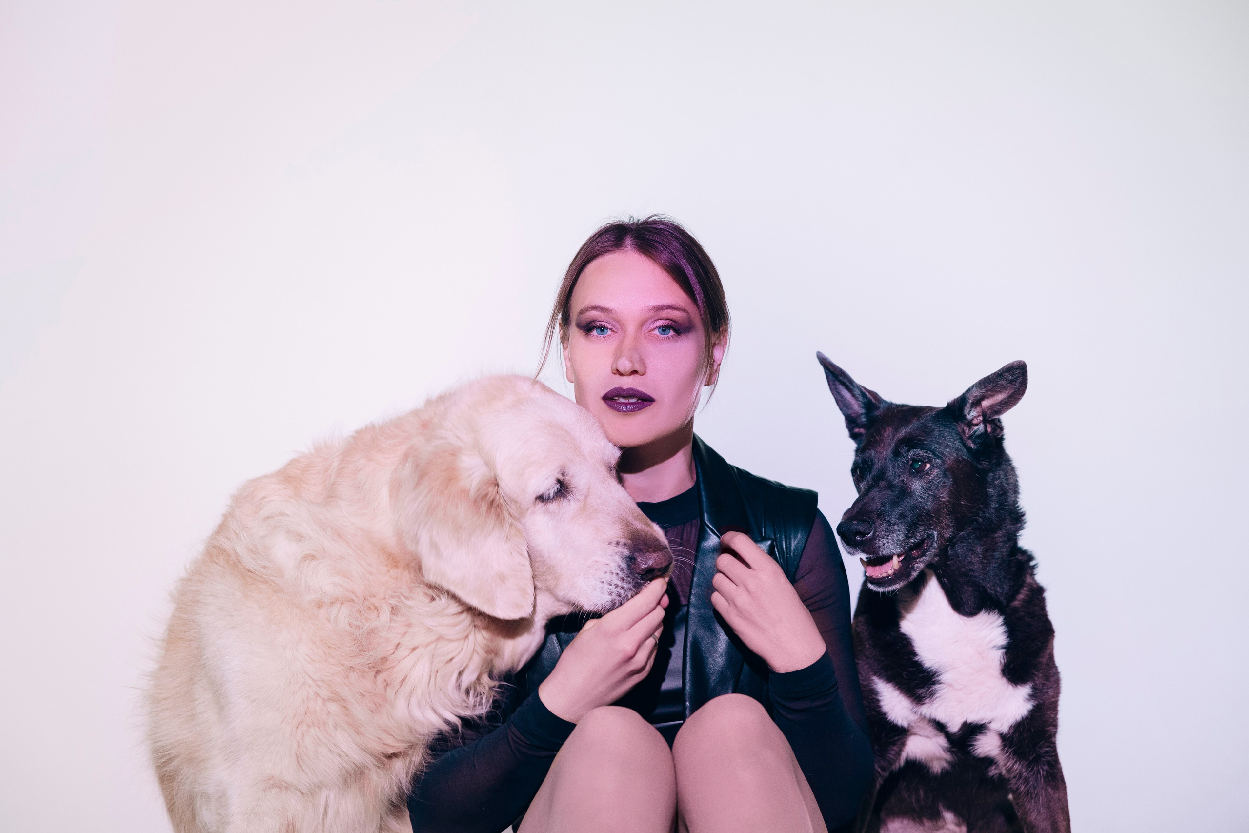 Съемка в студии с собакой. Анастасия Белаш