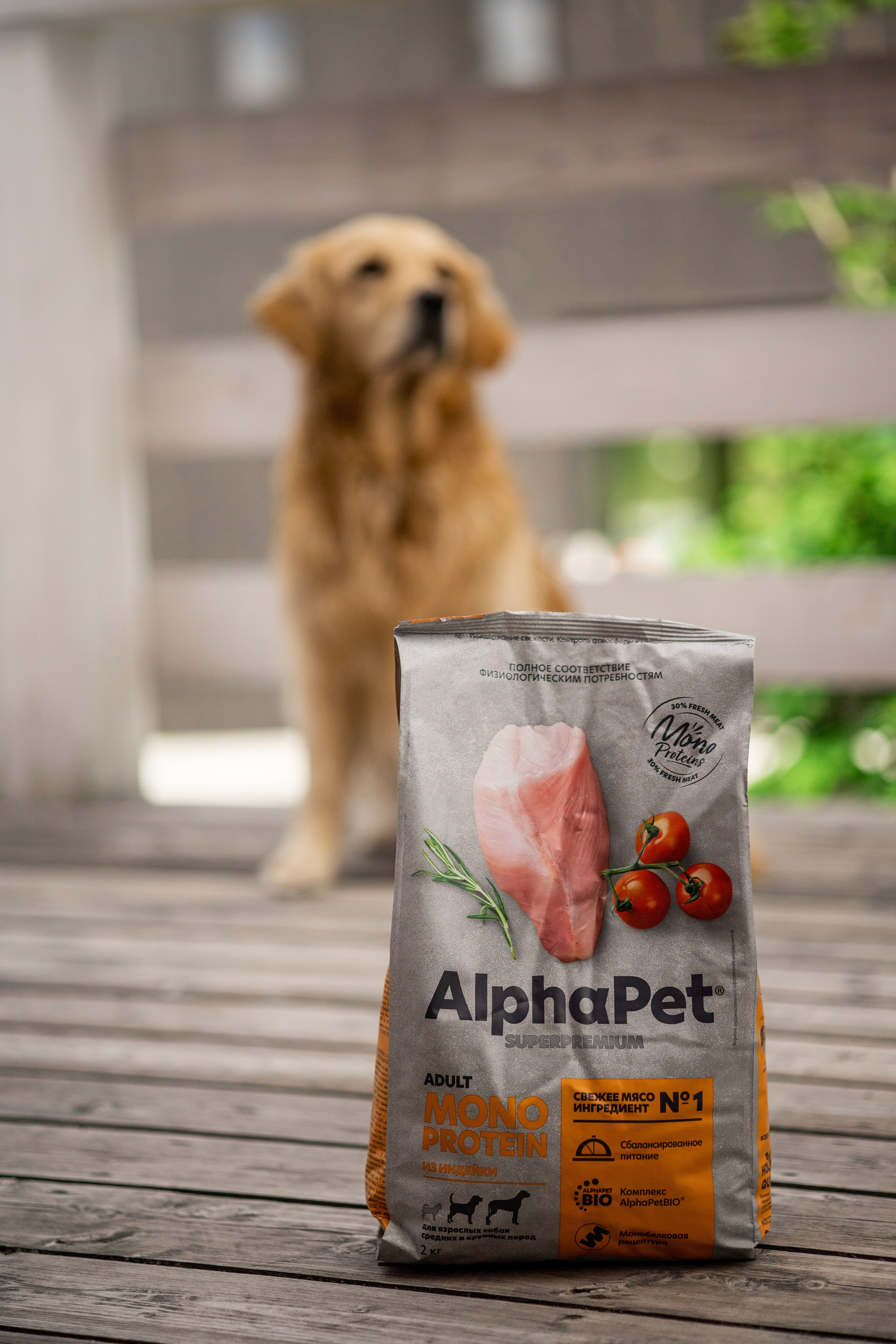 Корм AlphaPet. Анастасия Белаш