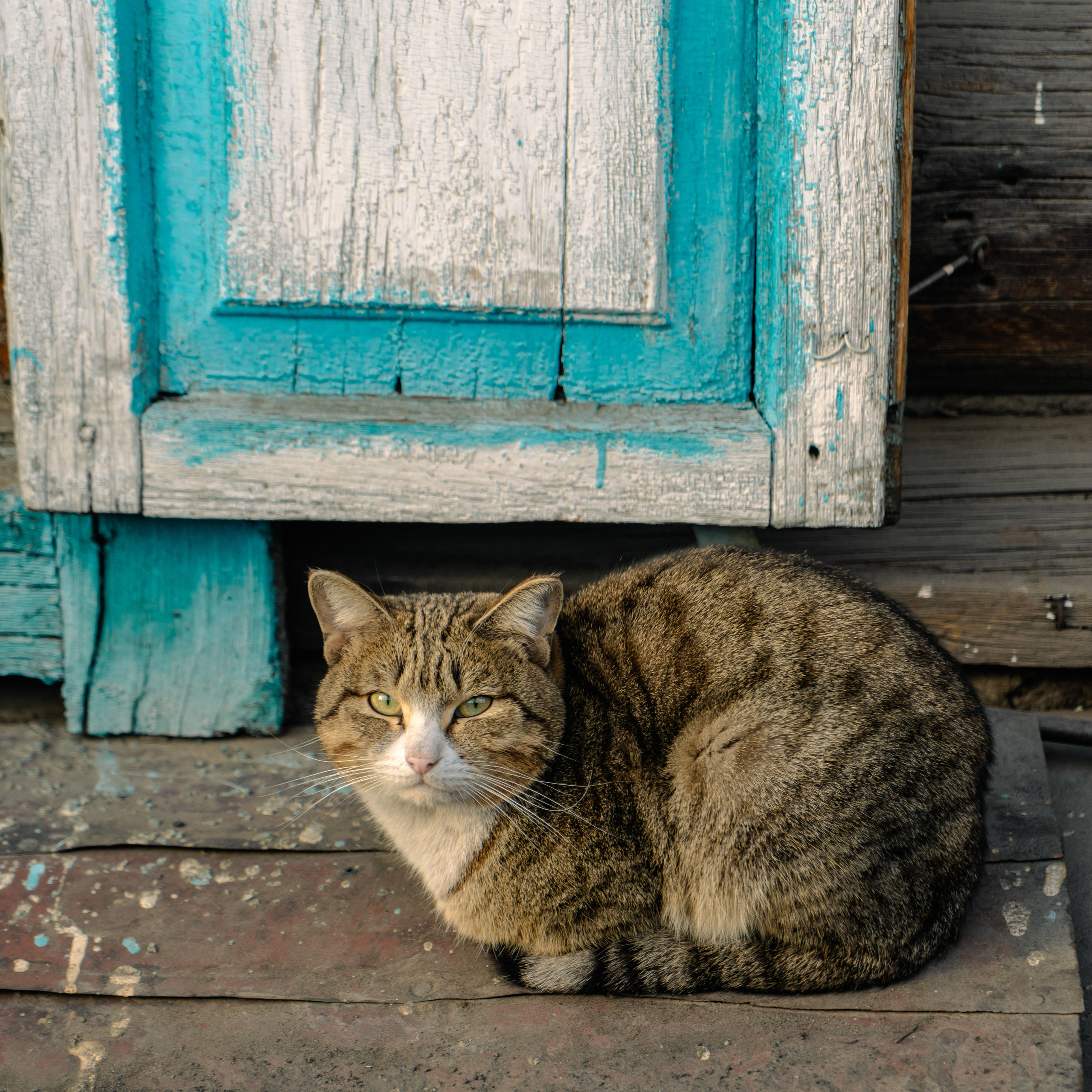 Улан-Удэ, Март 2024