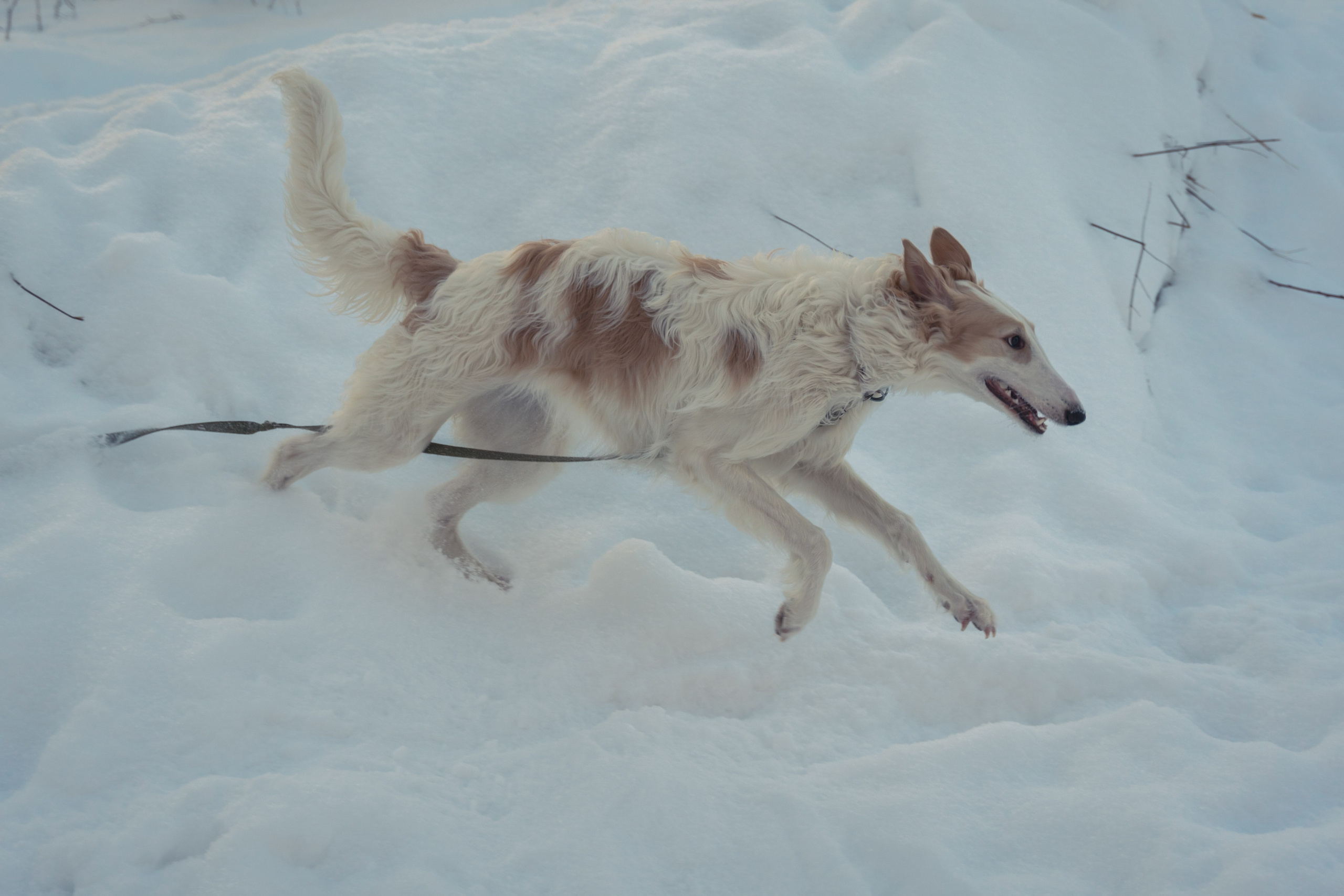 Лена, Январь 2024