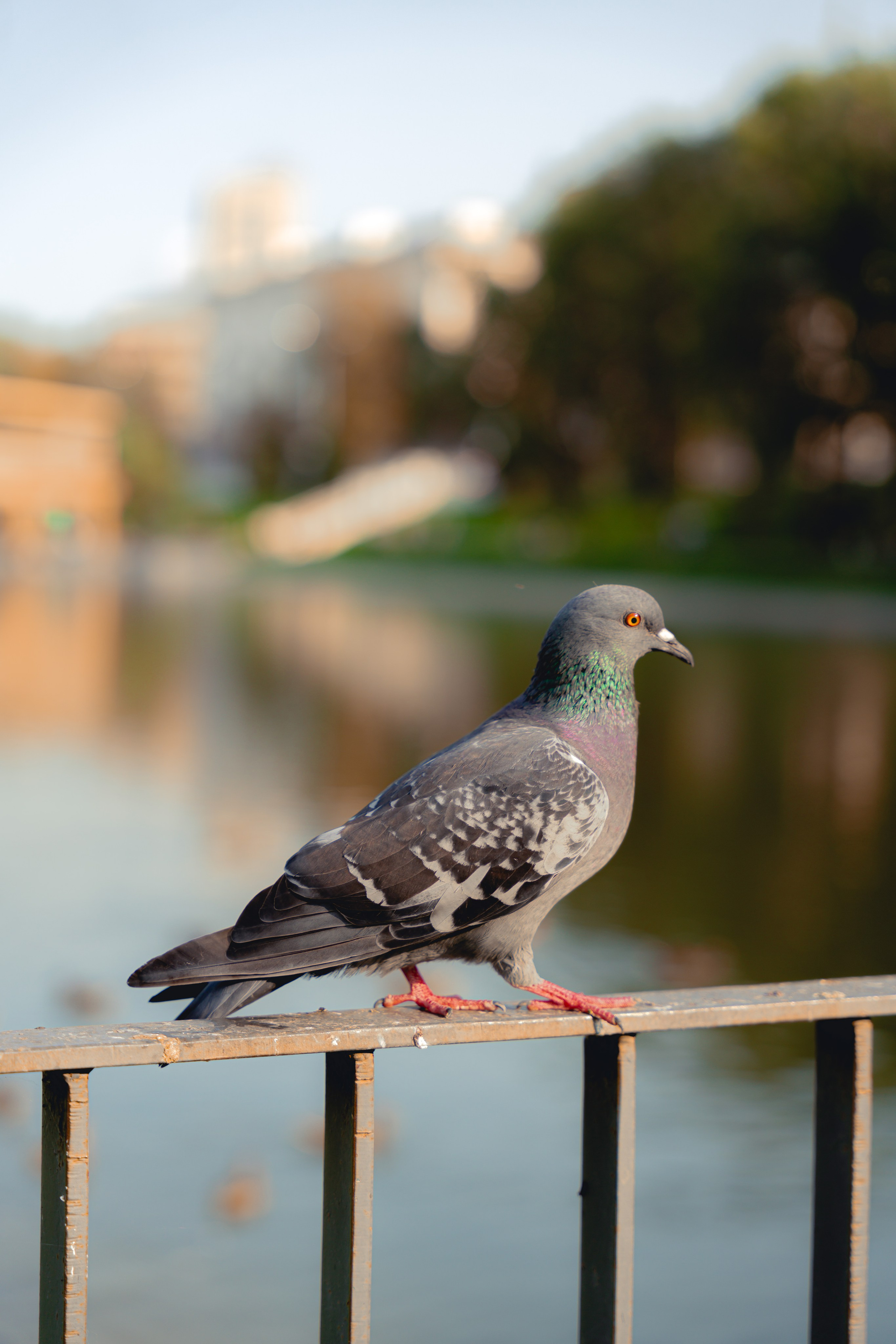 Казань, Август 2024