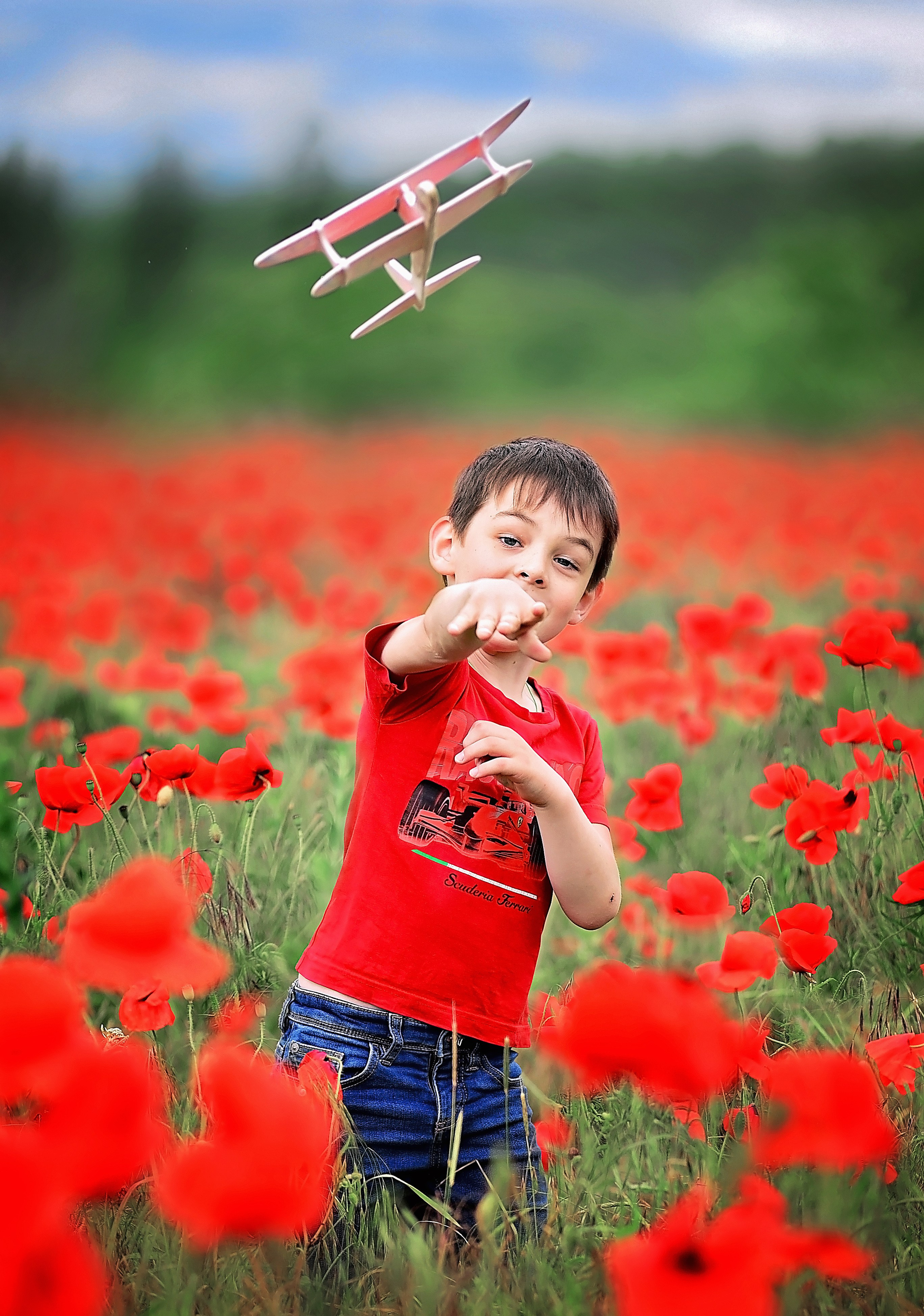 Маки. Главная