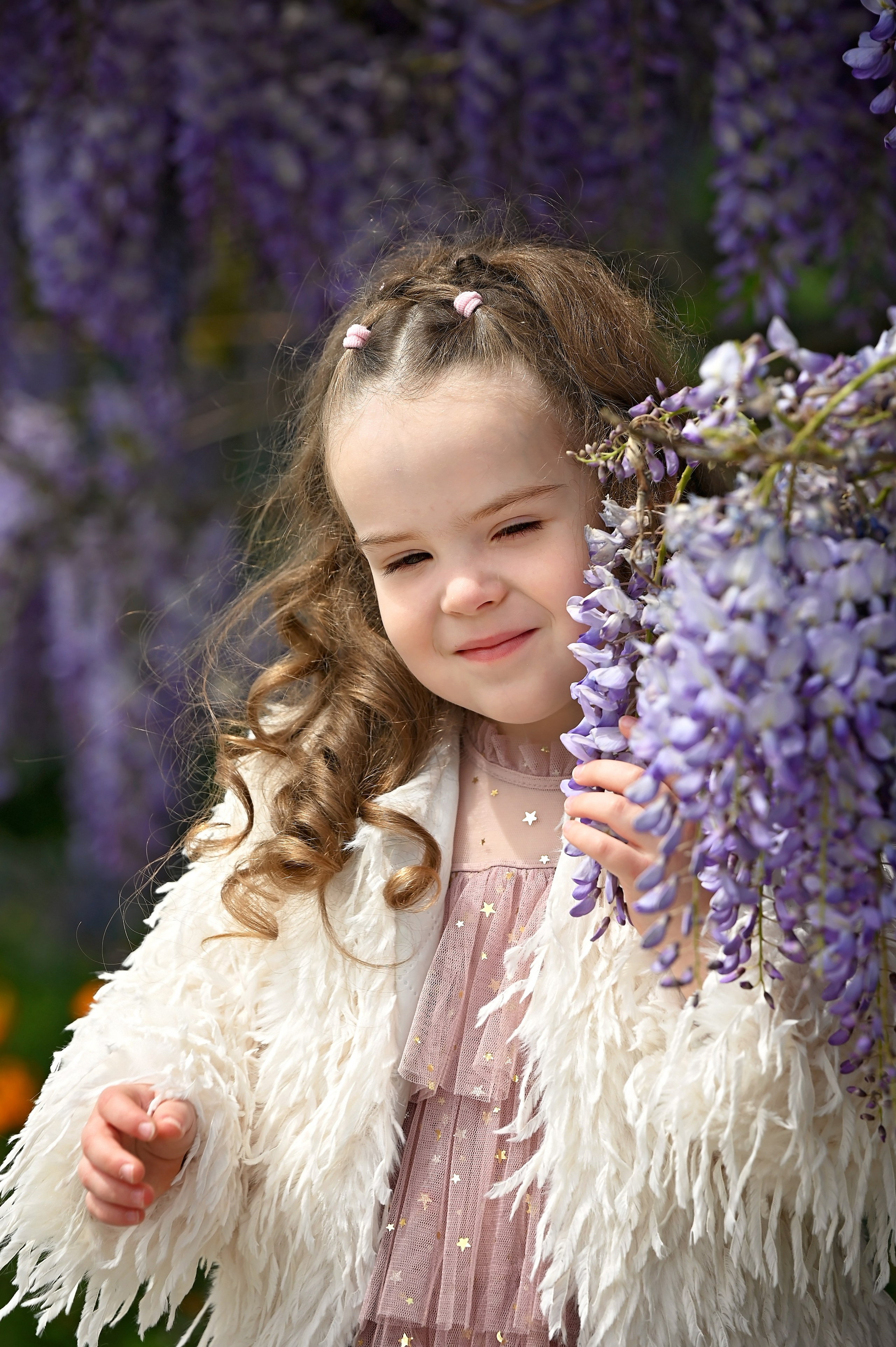 Глициния. Главная