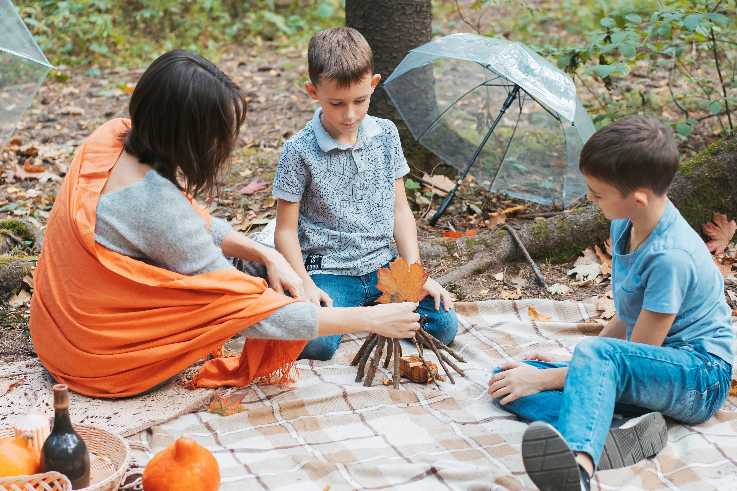 Осень в лесу. Brand photographer