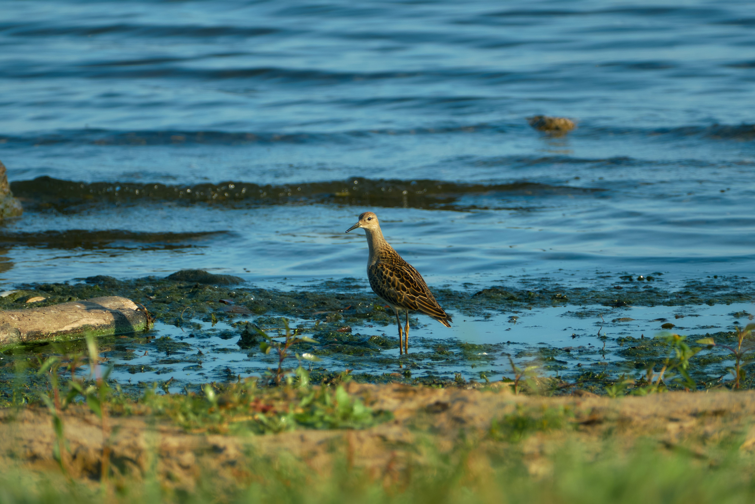 Стрит фотосъемка. Владимир Суздалов (ProMaXe) — Портретный фотограф, тематические фотосессии в Чебоксарах