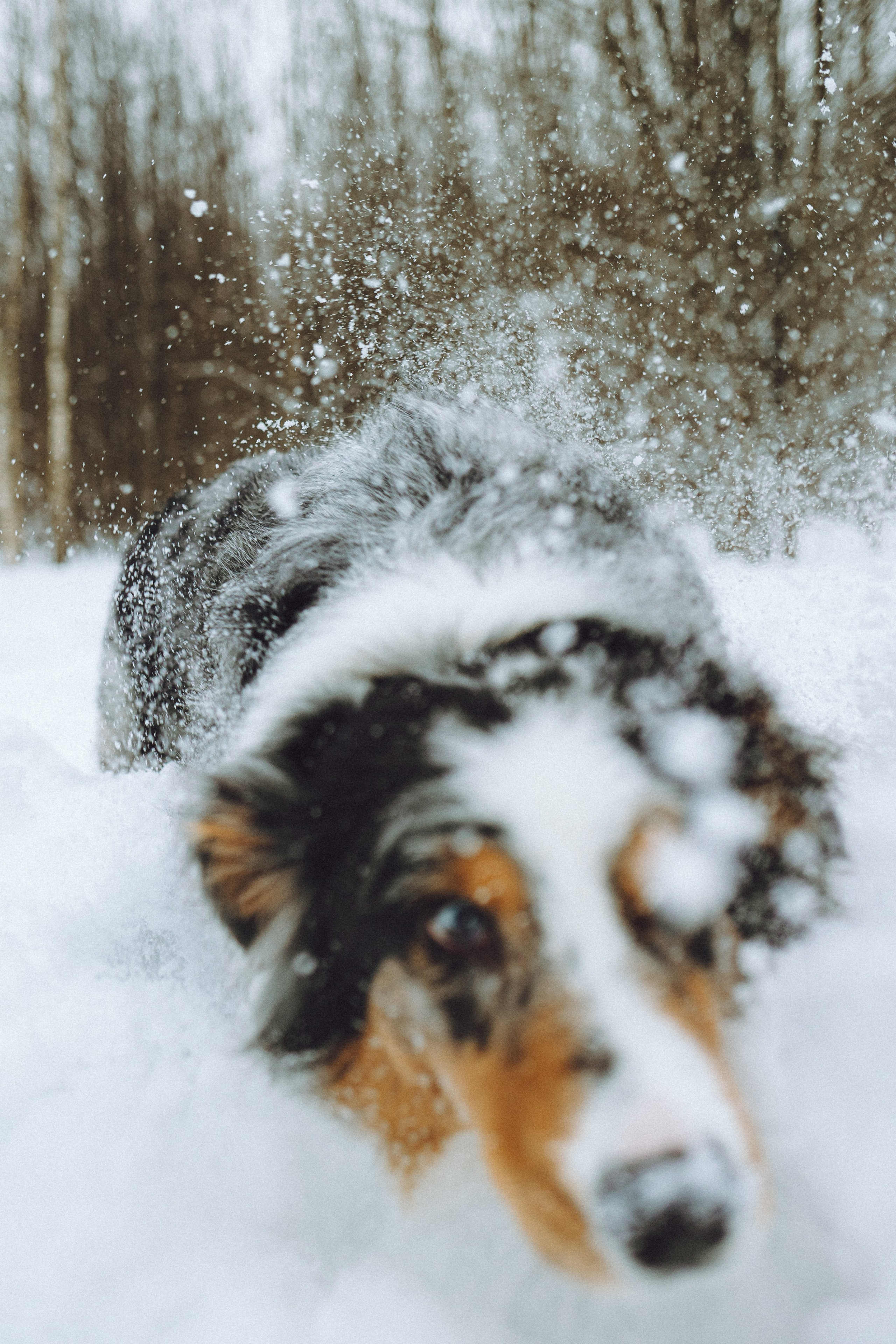 Фаня и ее семья