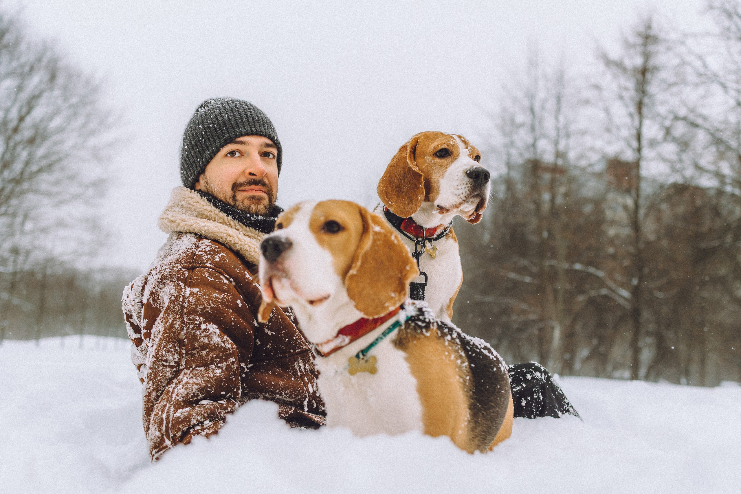 Роман, Портер и Коррес