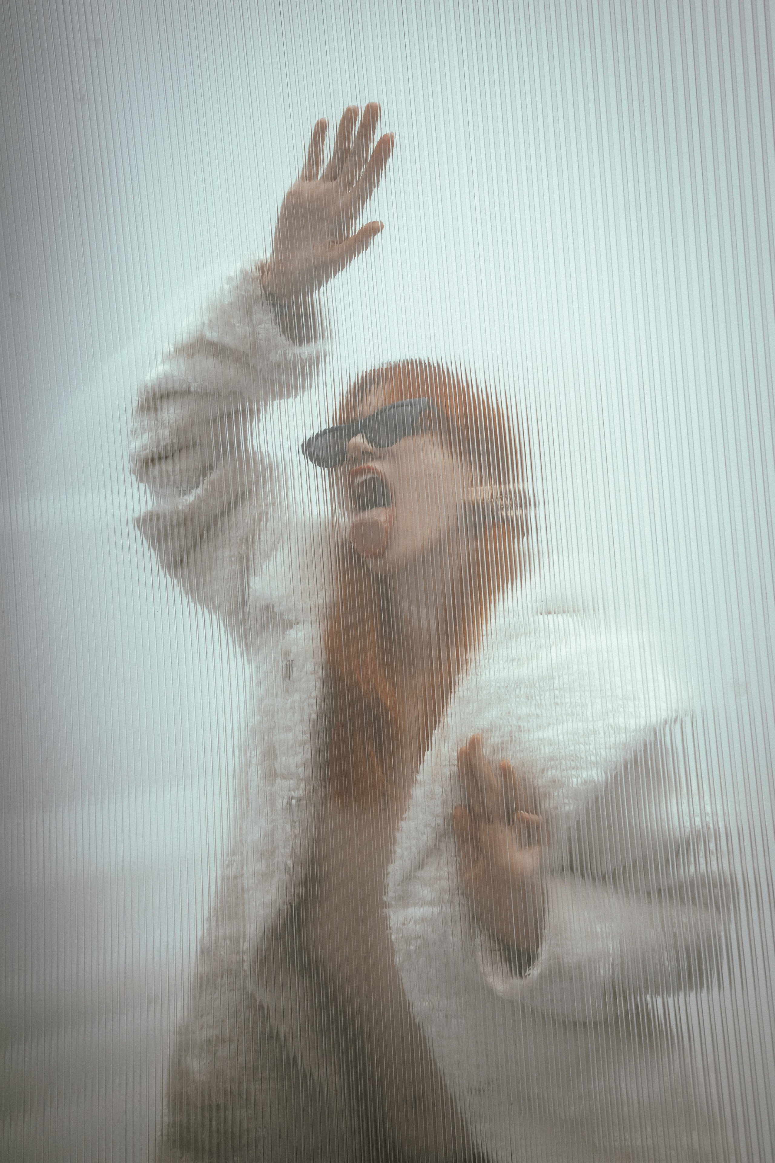 Лая. Gorbunova Alina Фотограф